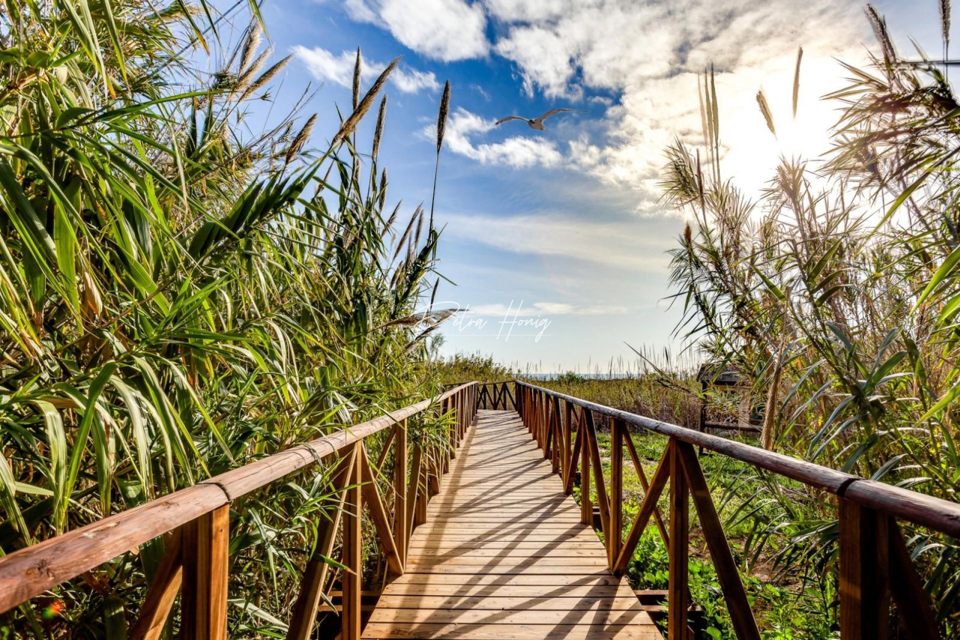 Resales - Lägenhet - Torrevieja - La Mata