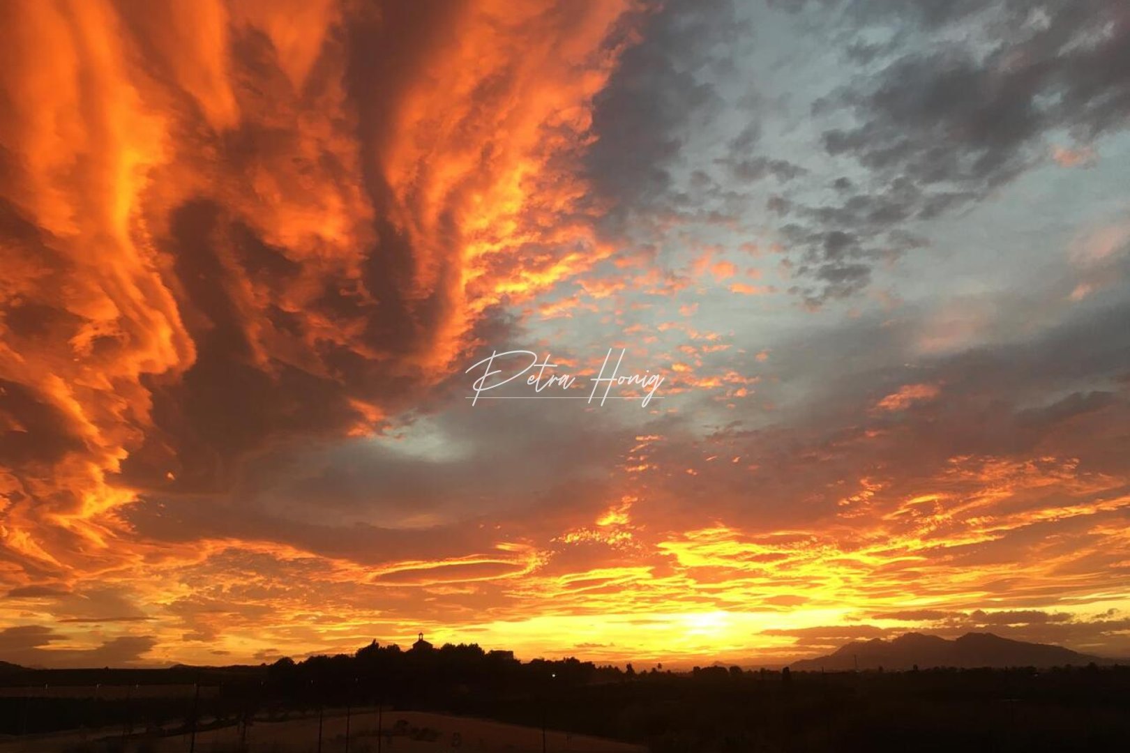 Resales - lejlighed - Algorfa - La Finca Golf - Algorfa