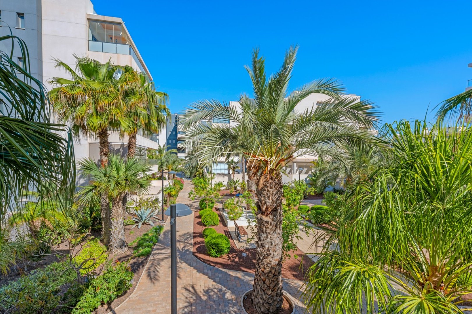 Resales - lejlighed - Orihuela Costa - Los Dolses