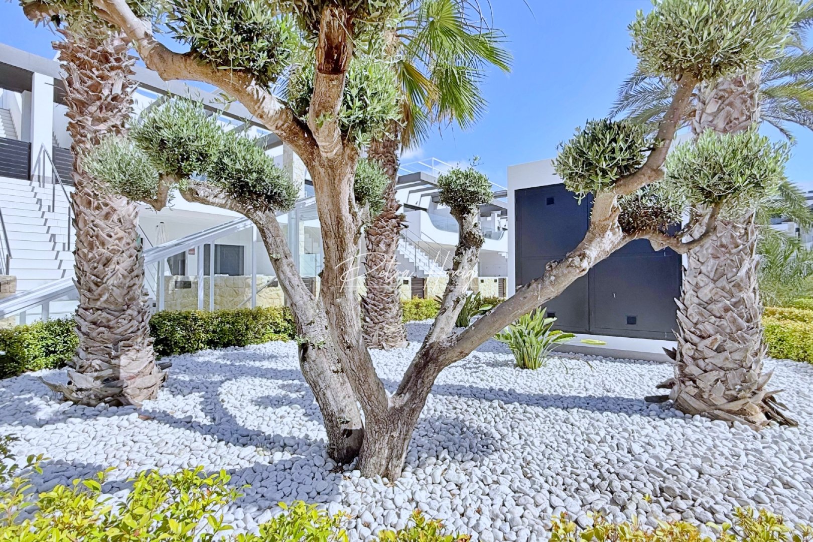 Resales - lejlighed - Orihuela Costa - Punta Prima