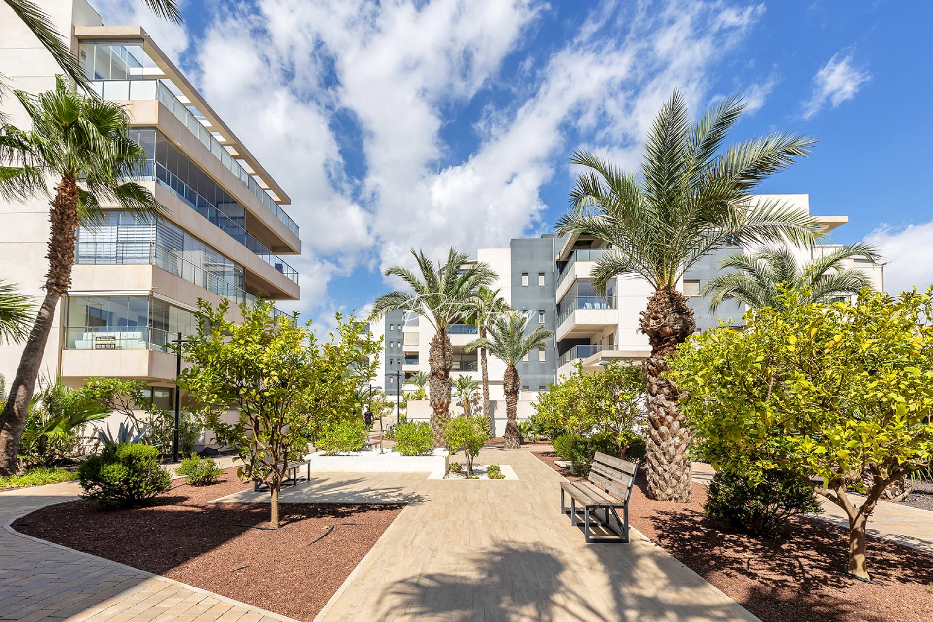 Resales - lejlighed - Orihuela Costa - Villamartin