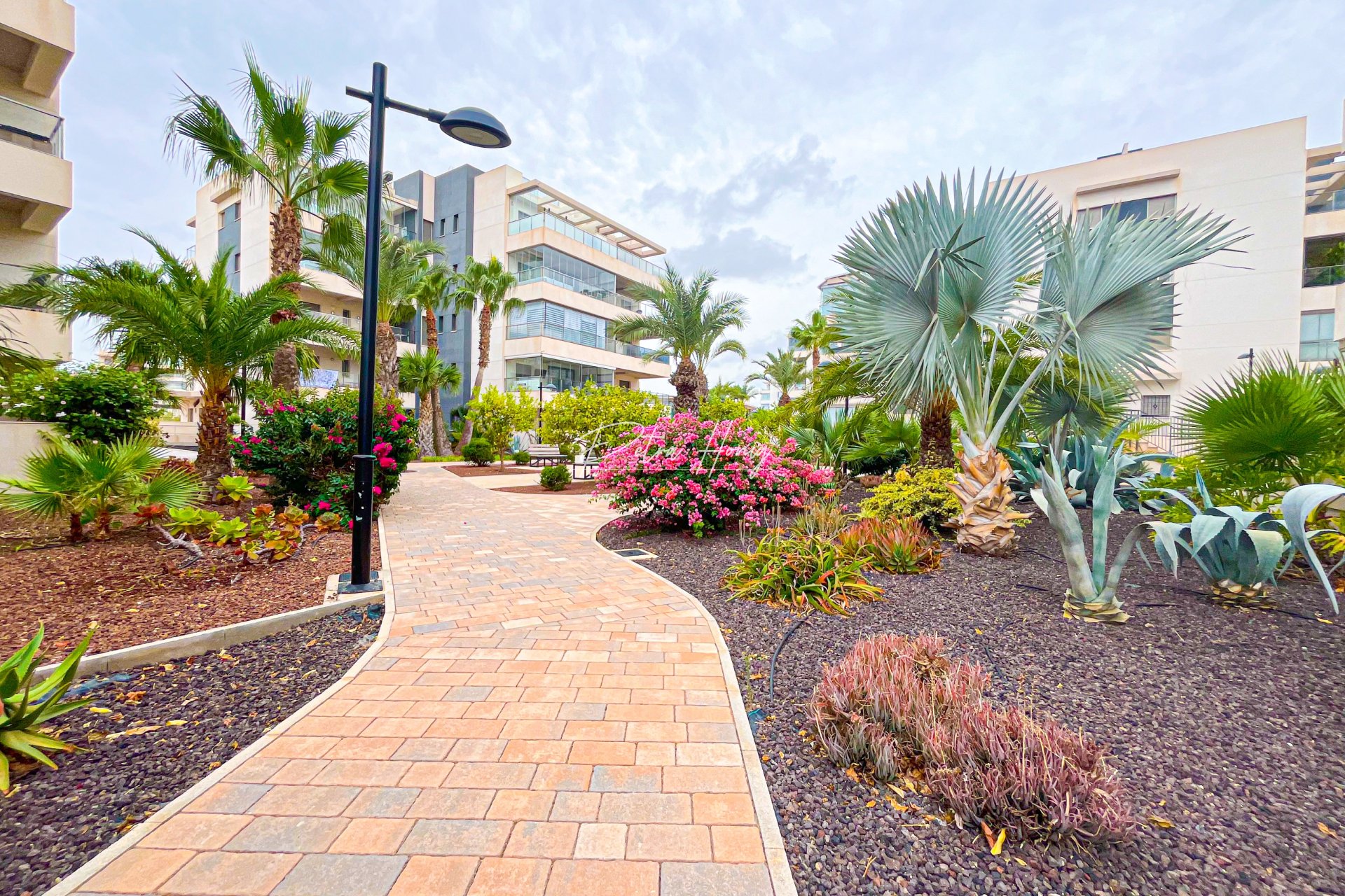 Resales - lejlighed - Orihuela Costa - Villamartin