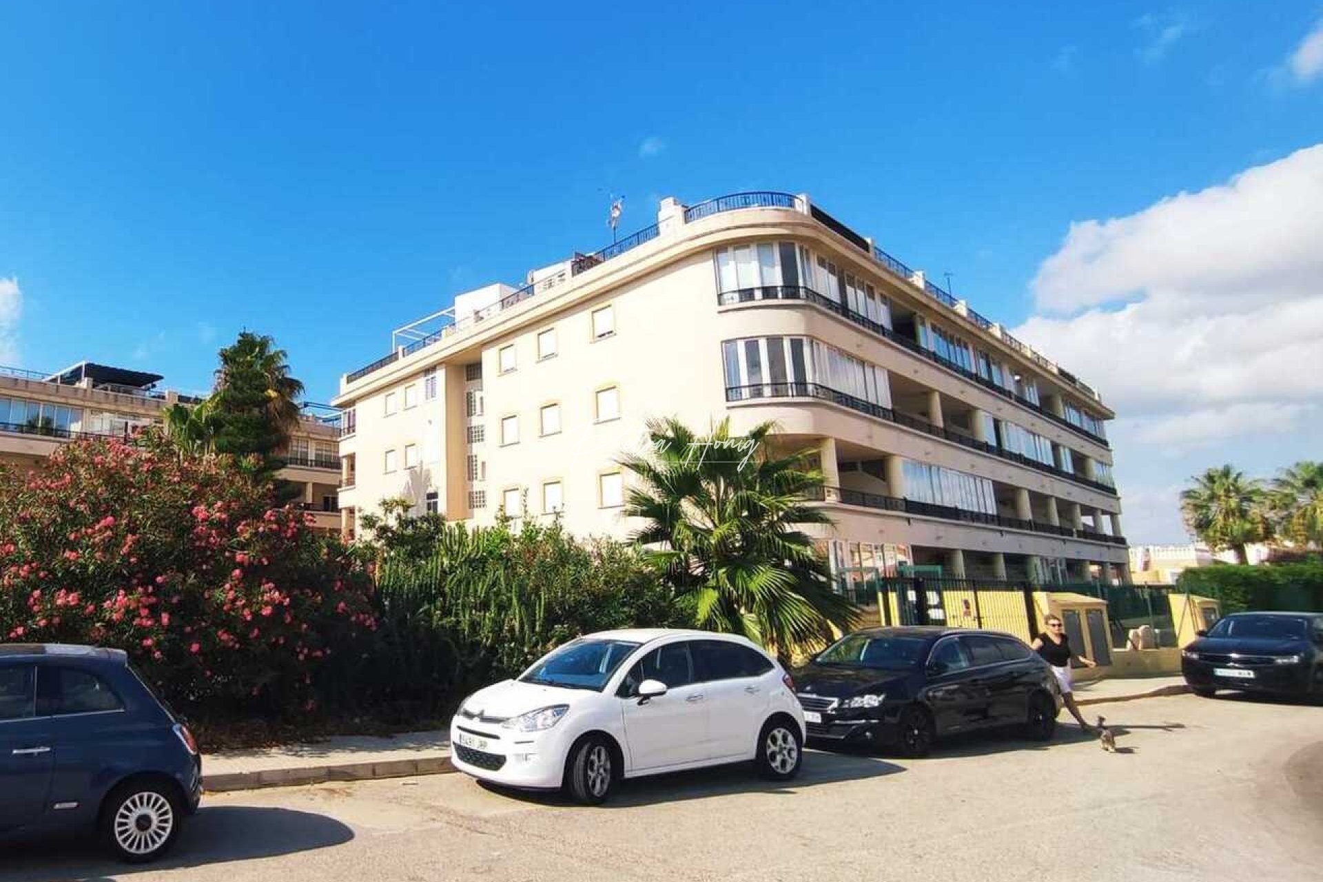 Resales - lejlighed - Playa Flamenca - Play Flamenca