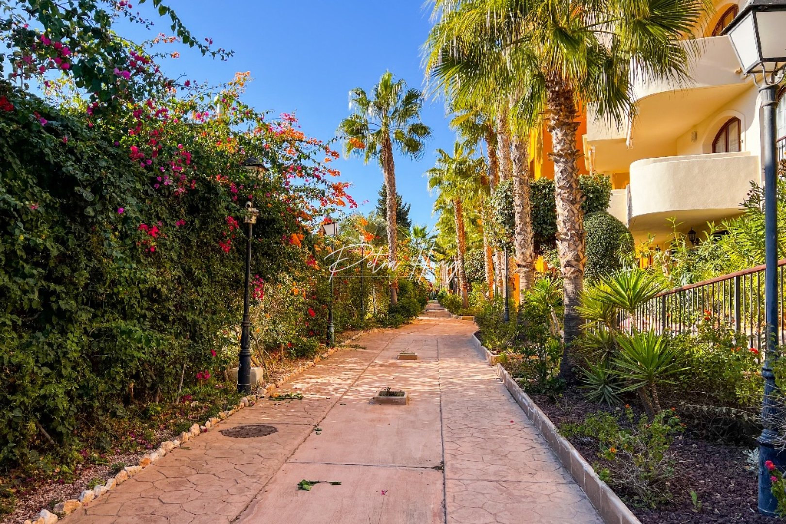 Resales - lejlighed - Punta Prima