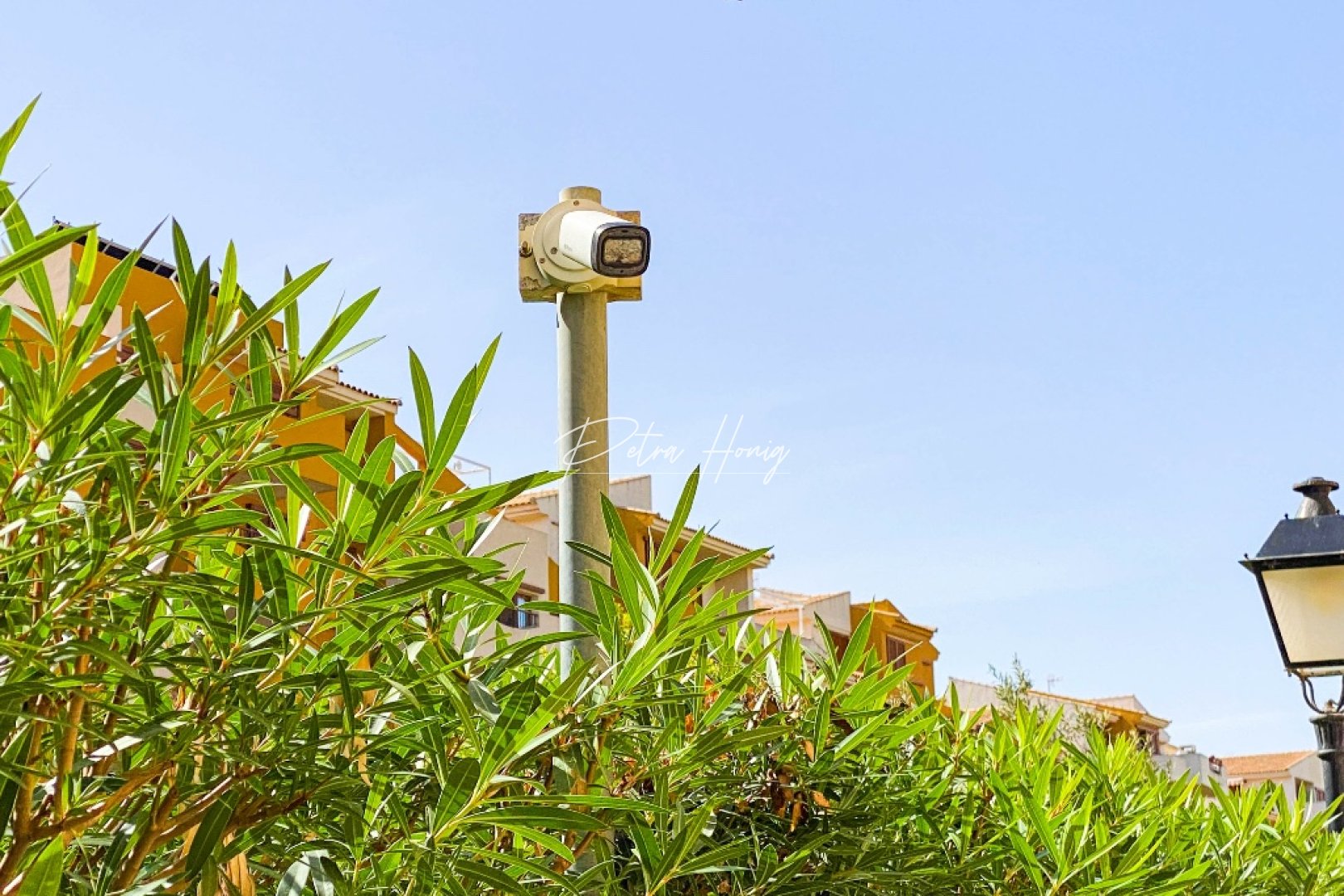 Resales - lejlighed - Punta Prima