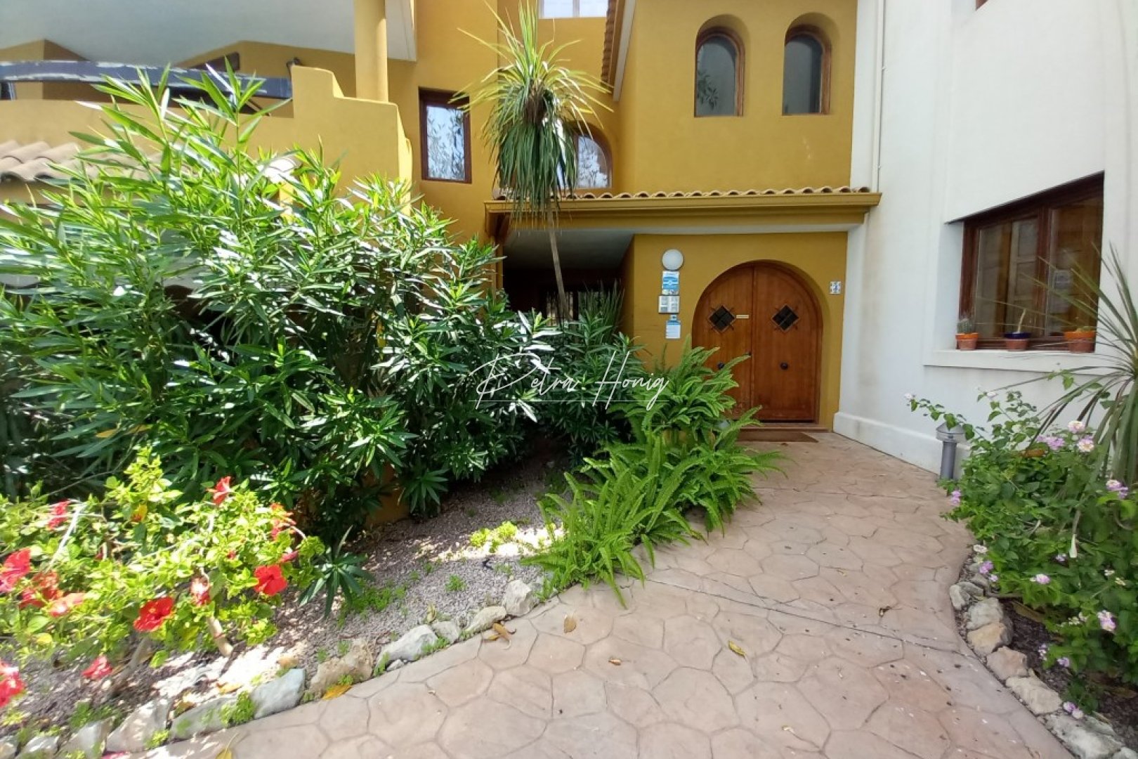 Resales - lejlighed - Punta Prima