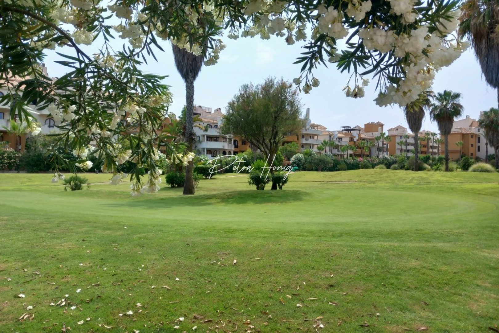 Resales - lejlighed - Punta Prima