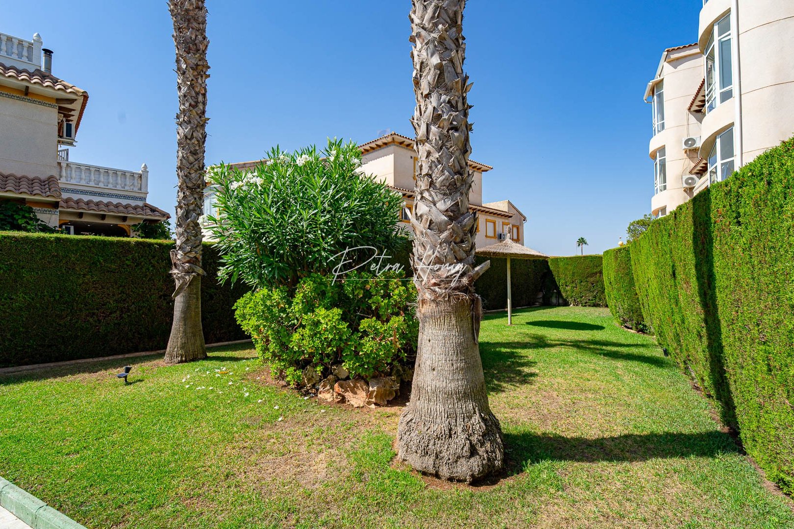 Resales - lejlighed - Punta Prima