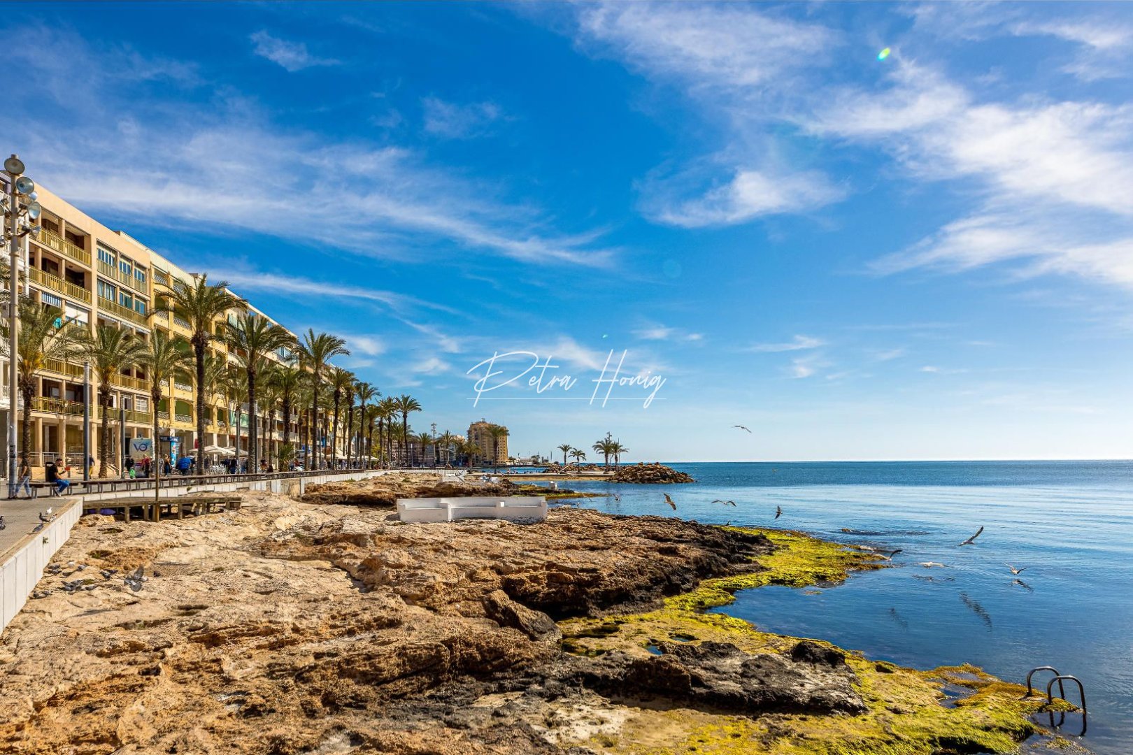 Resales - lejlighed - Torrevieja - Habaneras