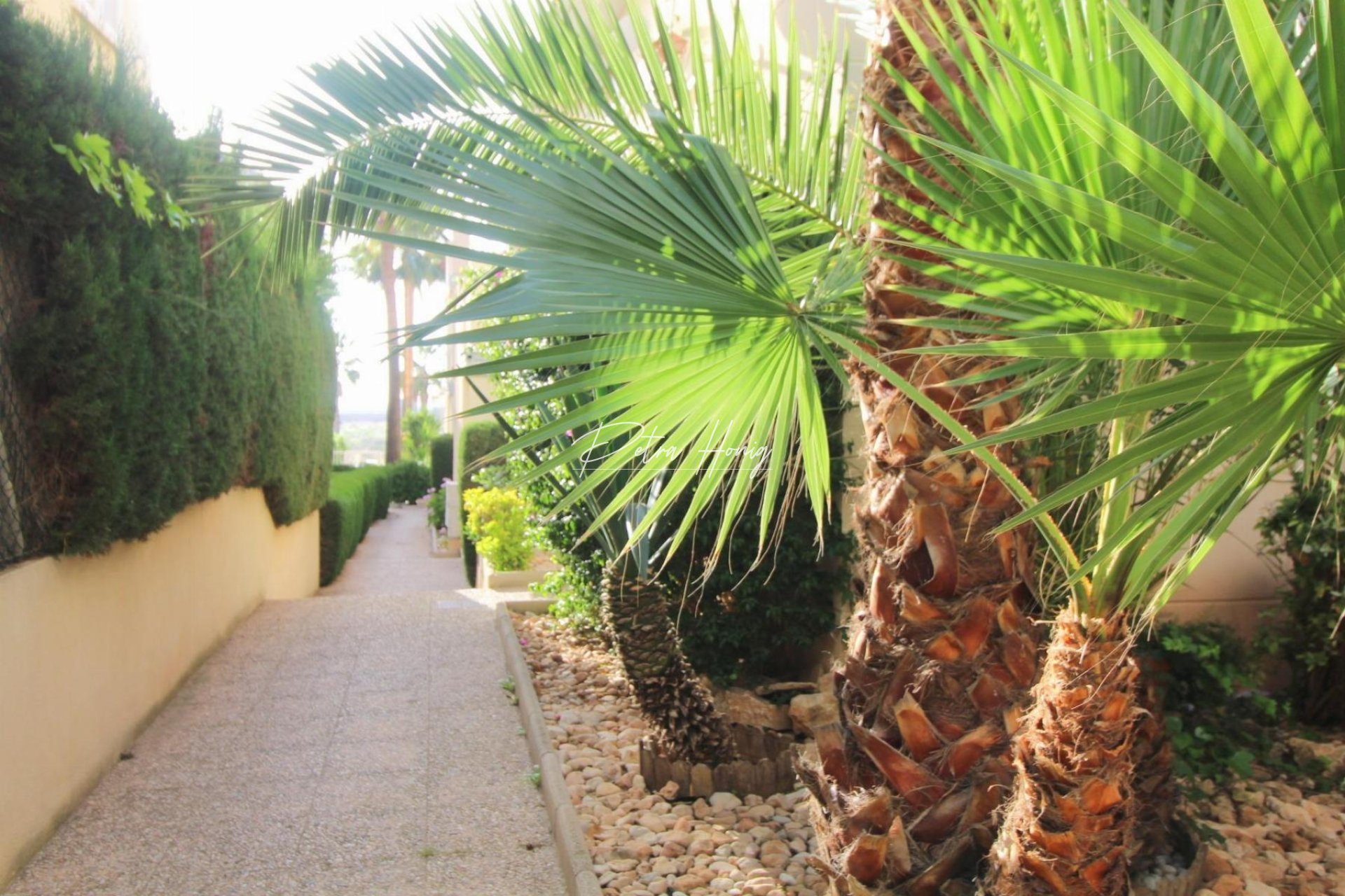 Resales - lejlighed - Torrevieja - La Veleta