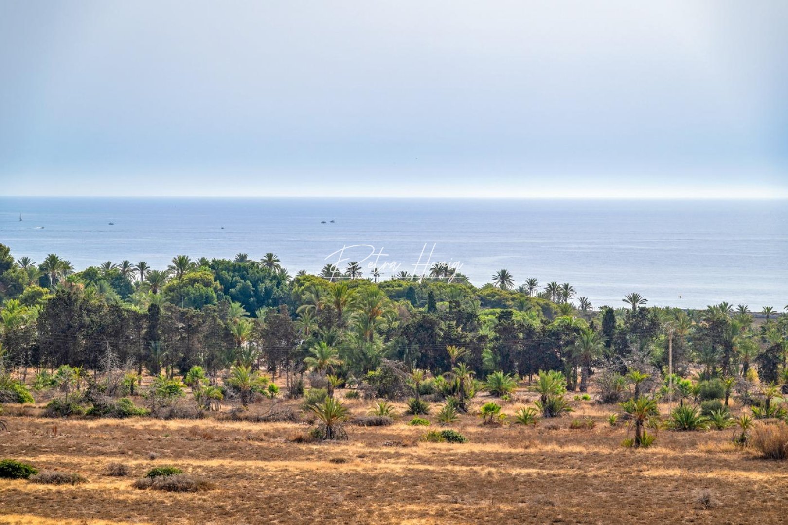 Resales - lejlighed - Torrevieja - Punta prima