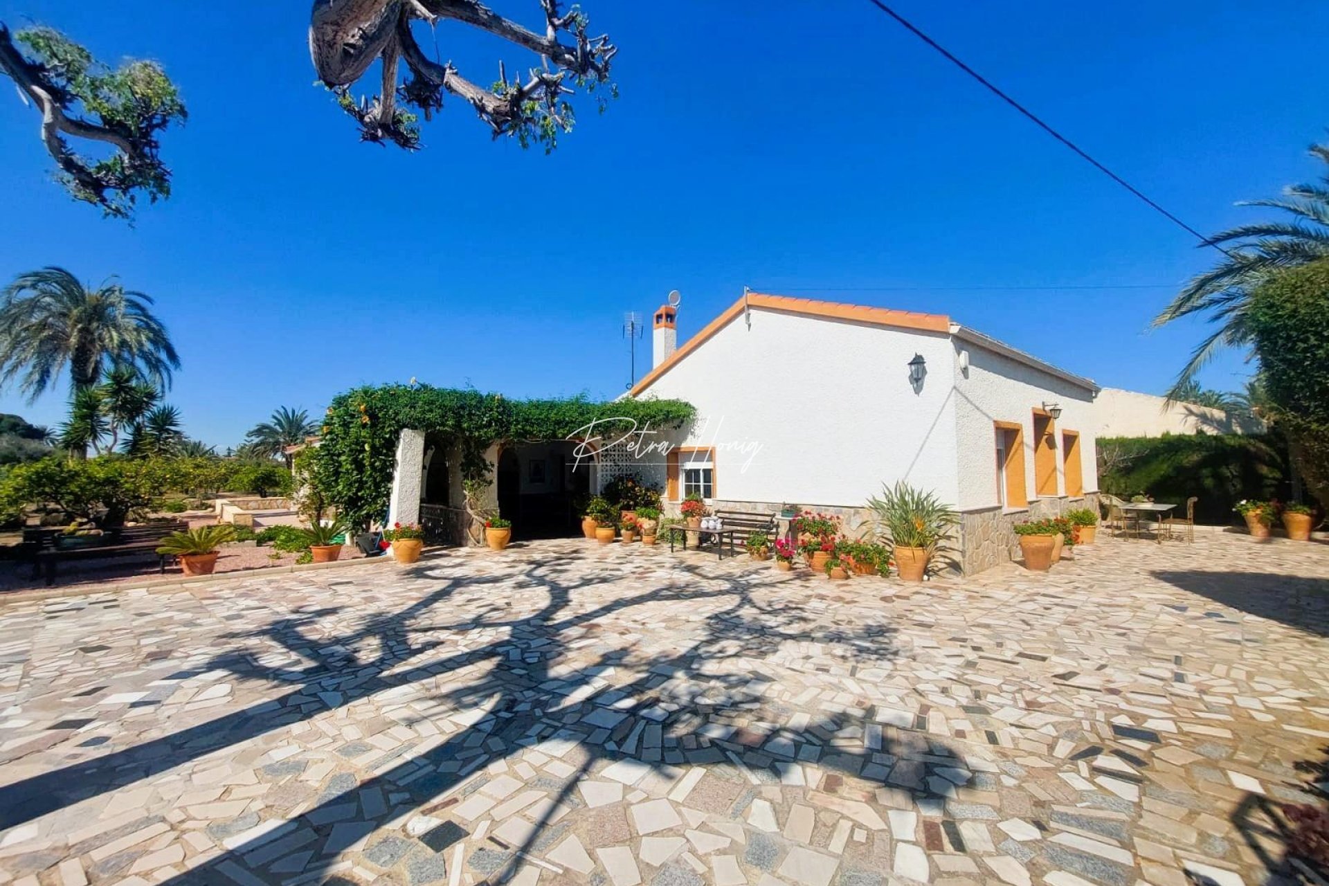 Resales - Masia - La marina - La Marina