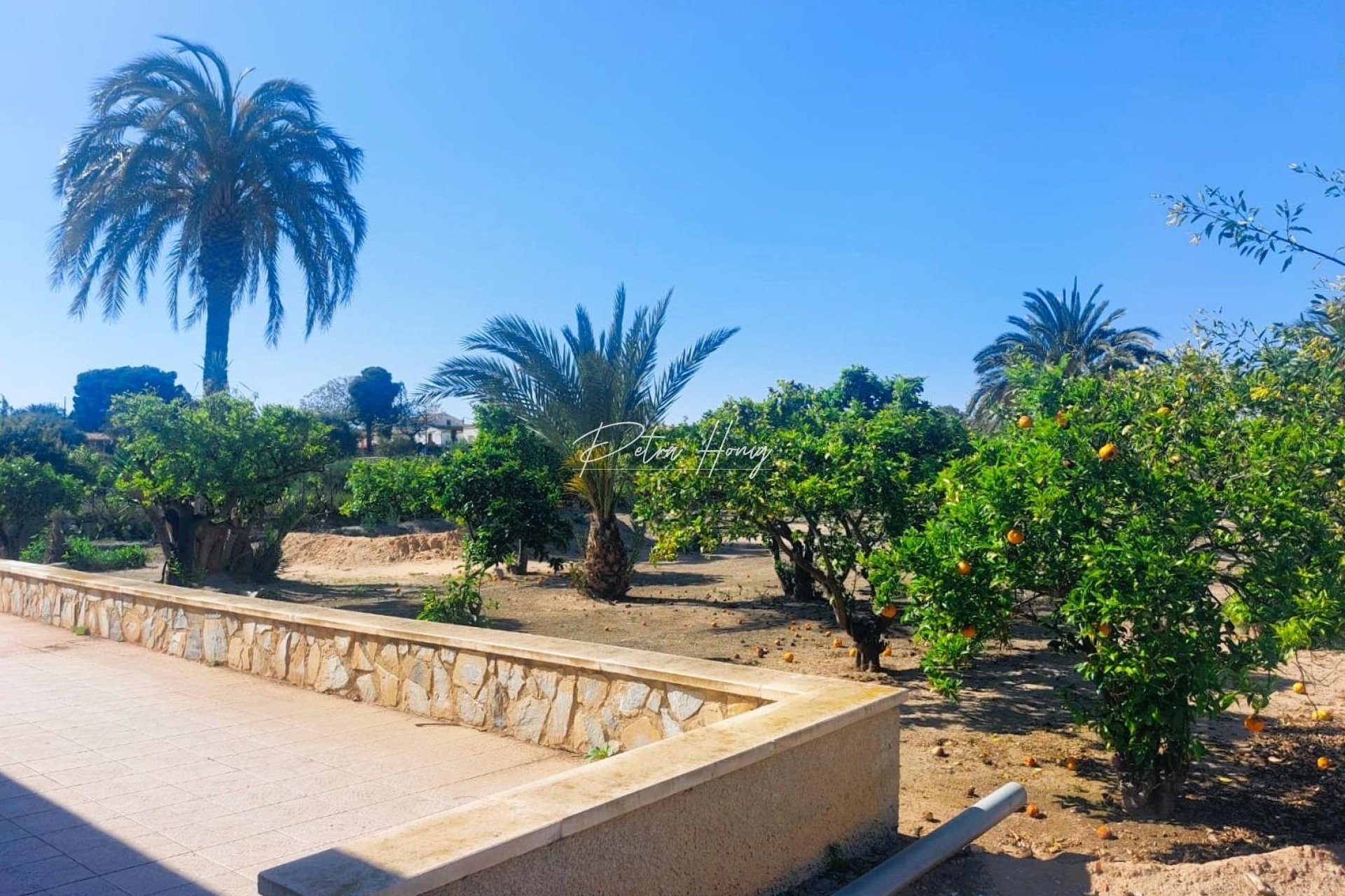 Resales - Masia - La marina - La Marina