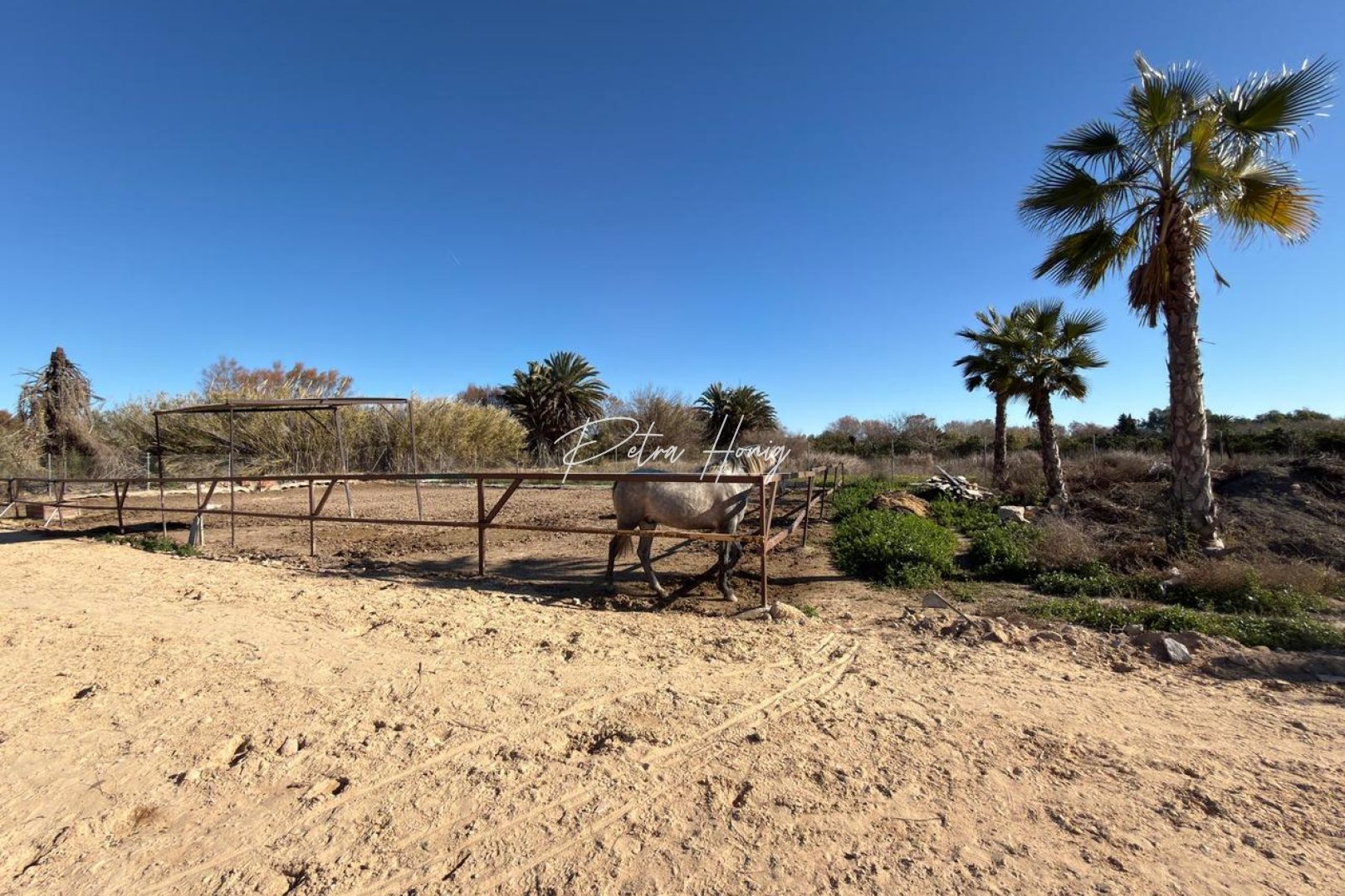 Resales - Plot - Algorfa - La Finca Golf - Algorfa