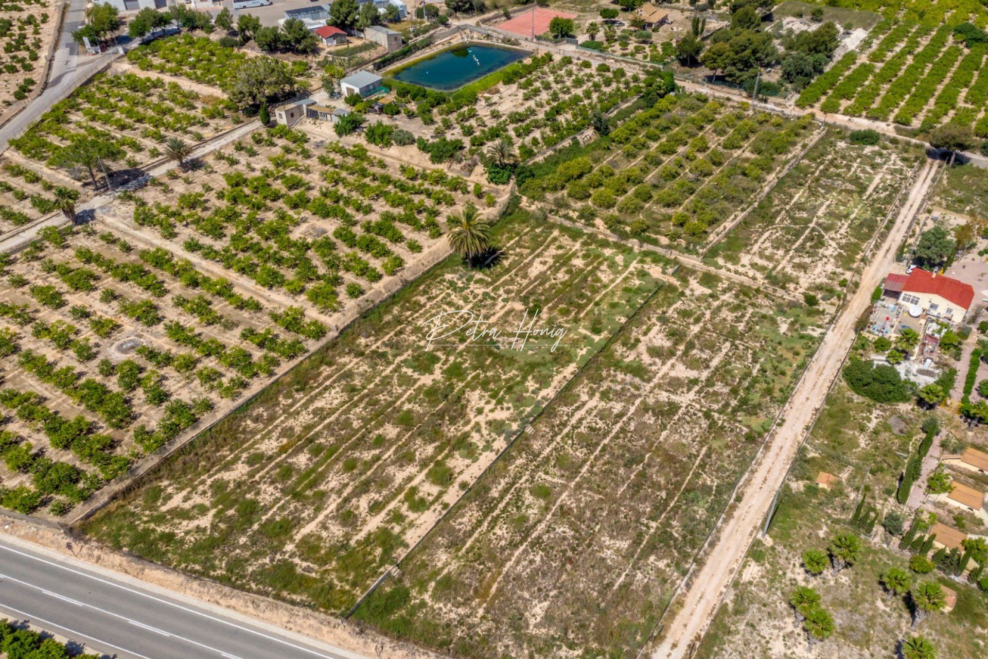 Resales - Plot - Algorfa