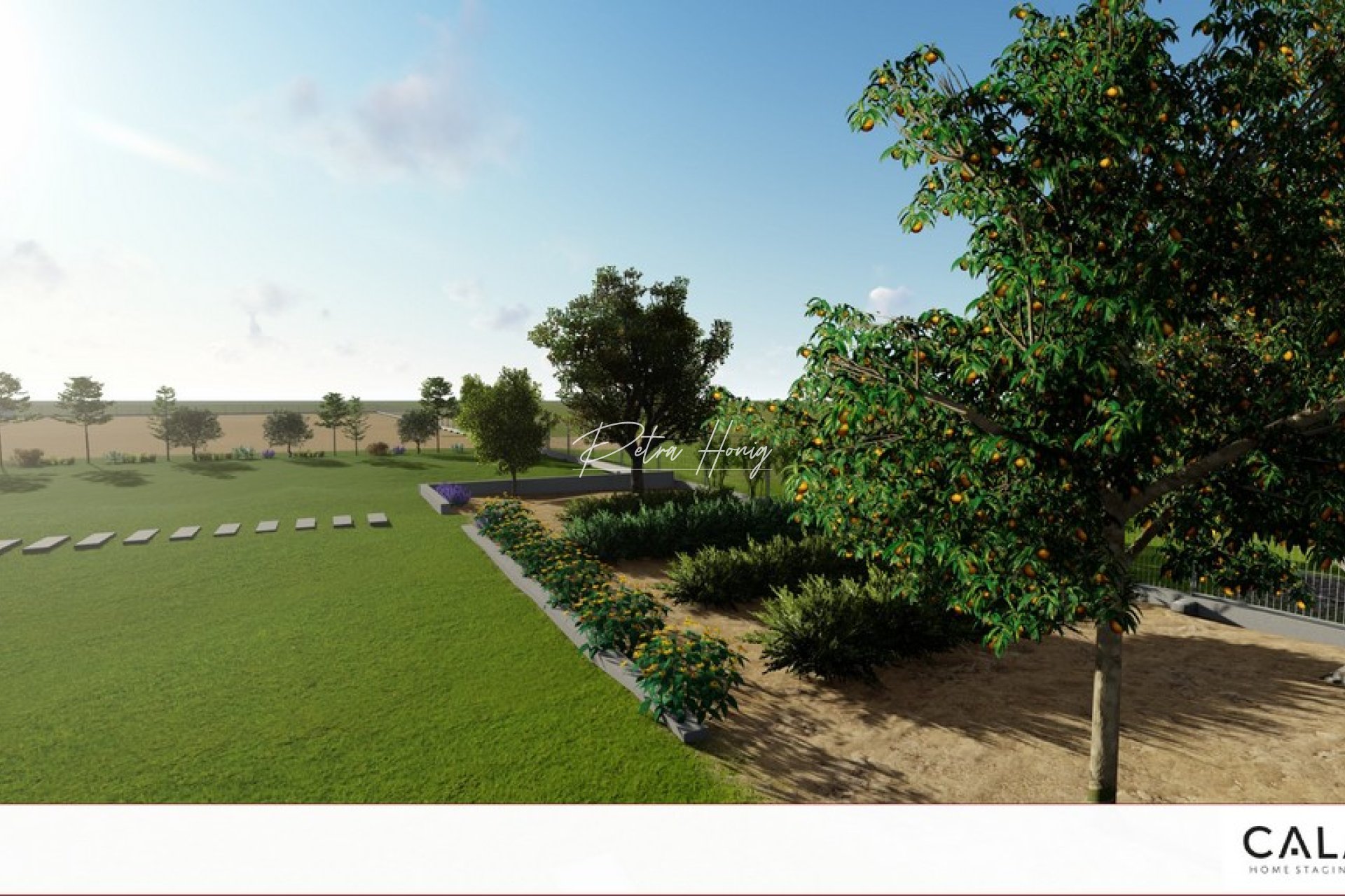 Resales - Plot - Algorfa