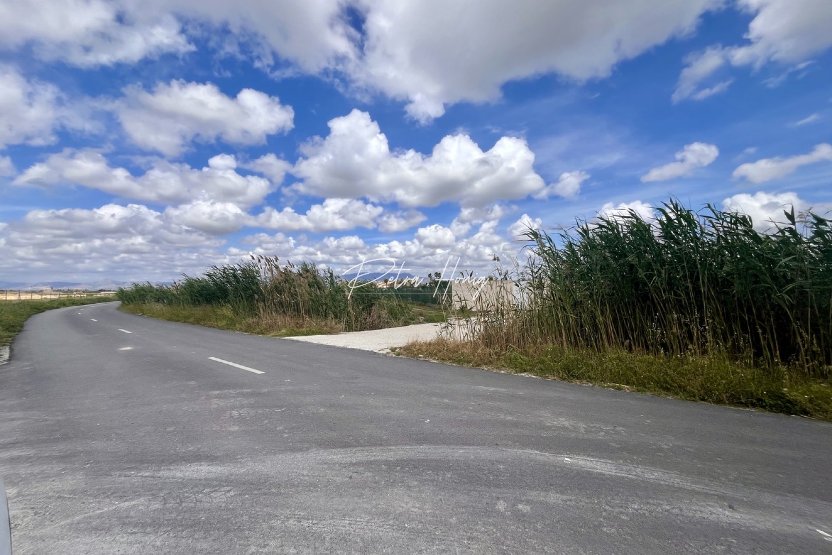 Resales - Plot - Catral