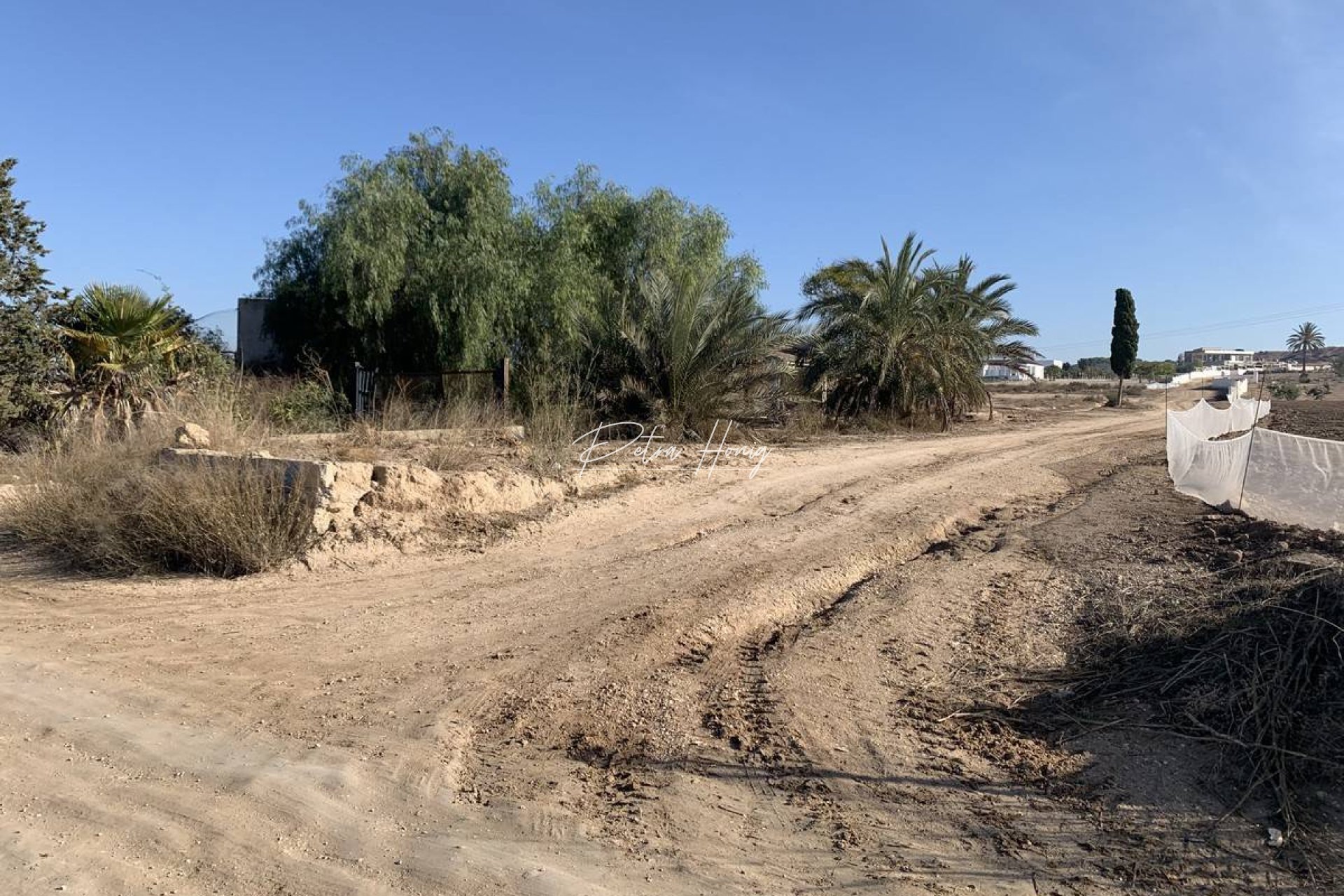 Resales - Plot - La Marina
