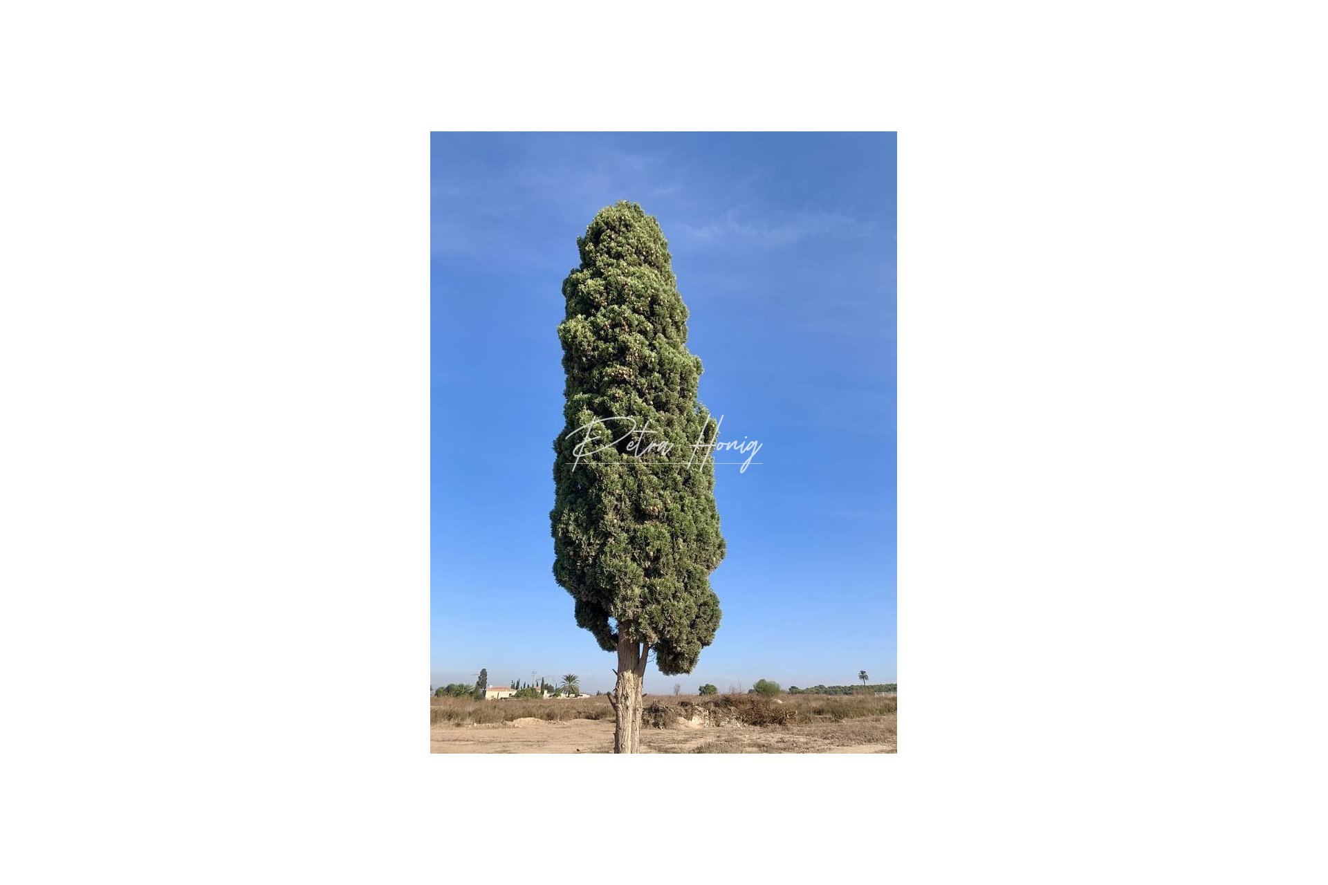 Resales - Plot - La Marina