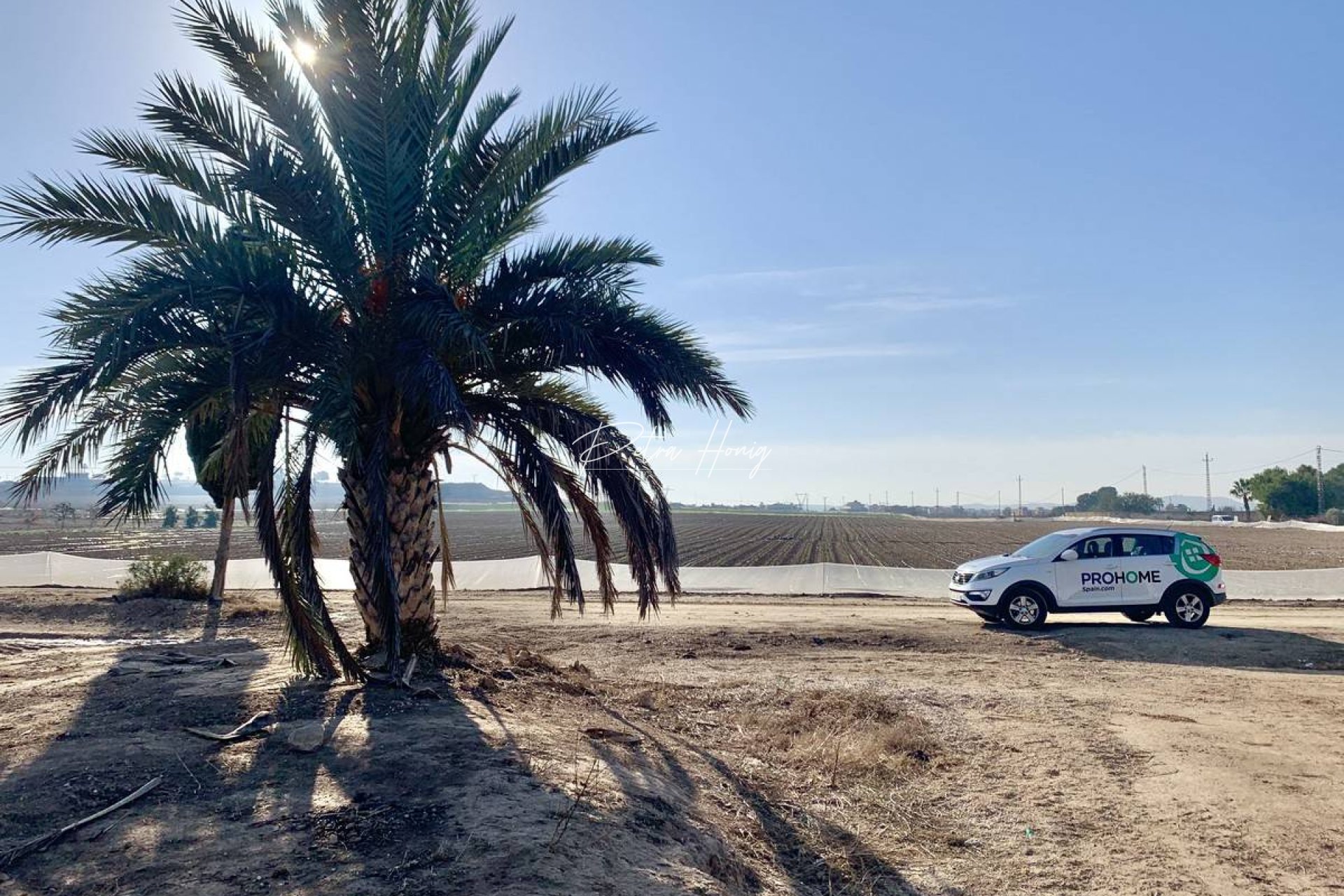 Resales - Plot - La Marina