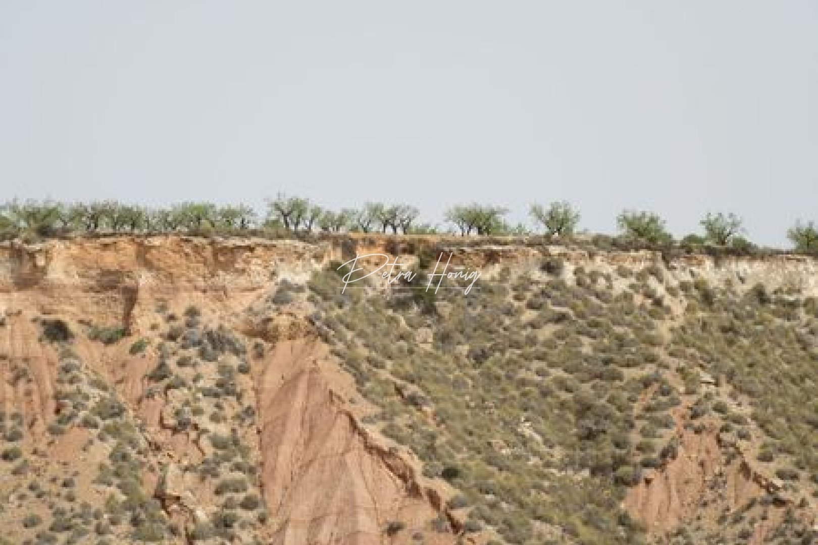 Resales - Plot - Other areas - Murcia