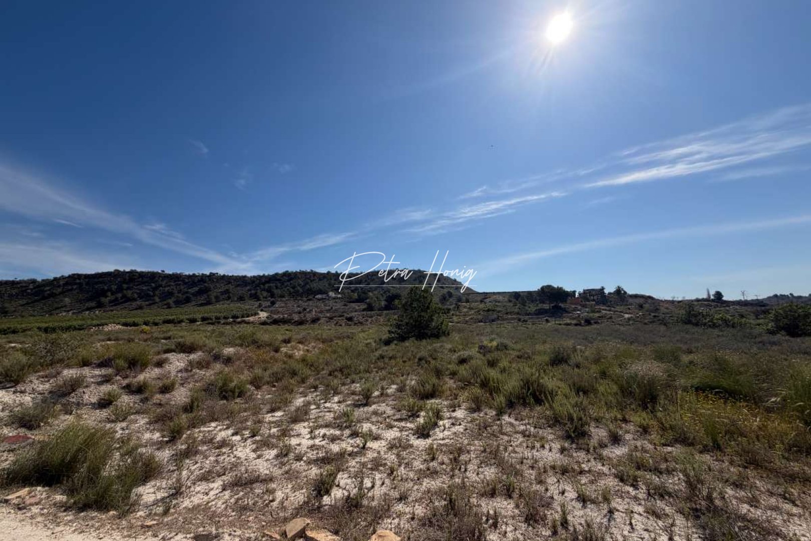 Resales - Plot - San Miguel de Salinas - Torremendo