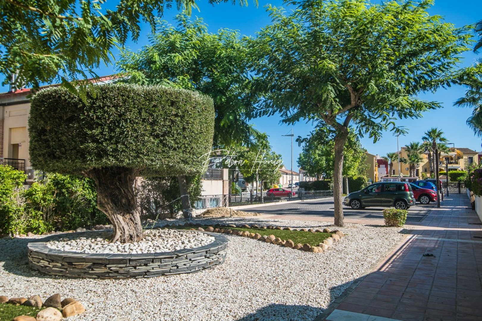 Resales - Rekkehus - Algorfa - La Finca Golf - ALGORFA