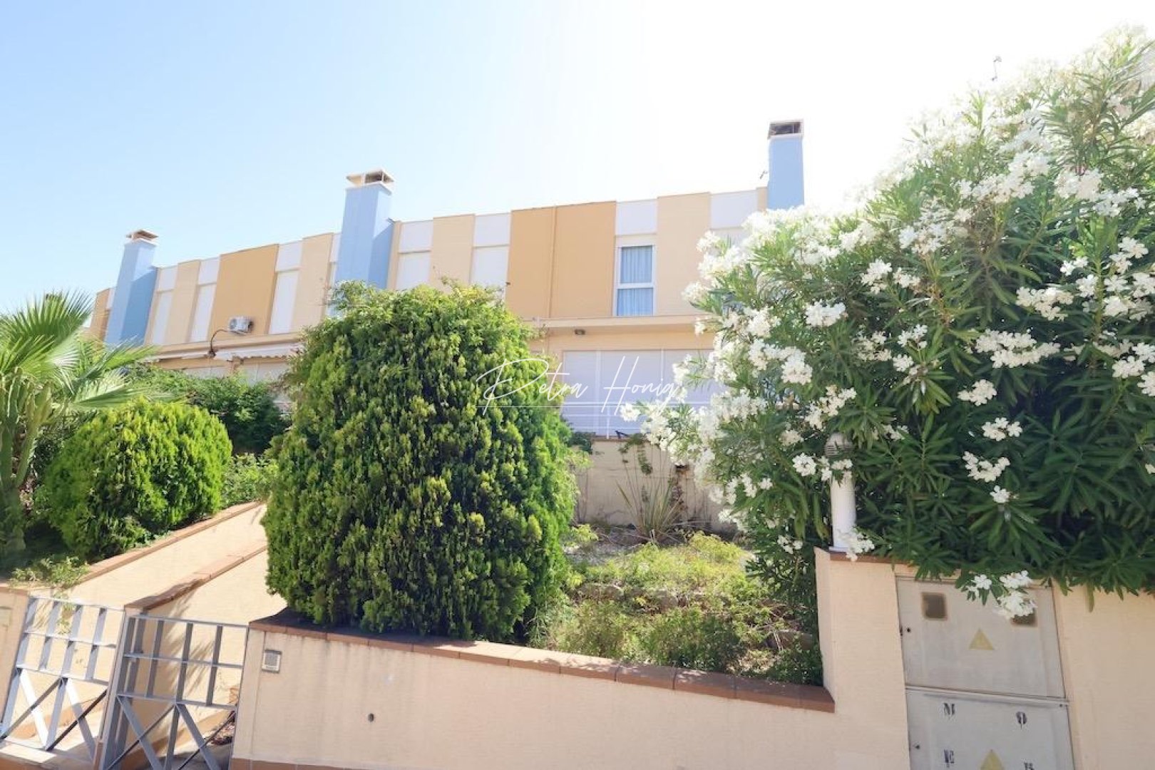 Resales - Rekkehus - Orihuela Costa - Agua Marina