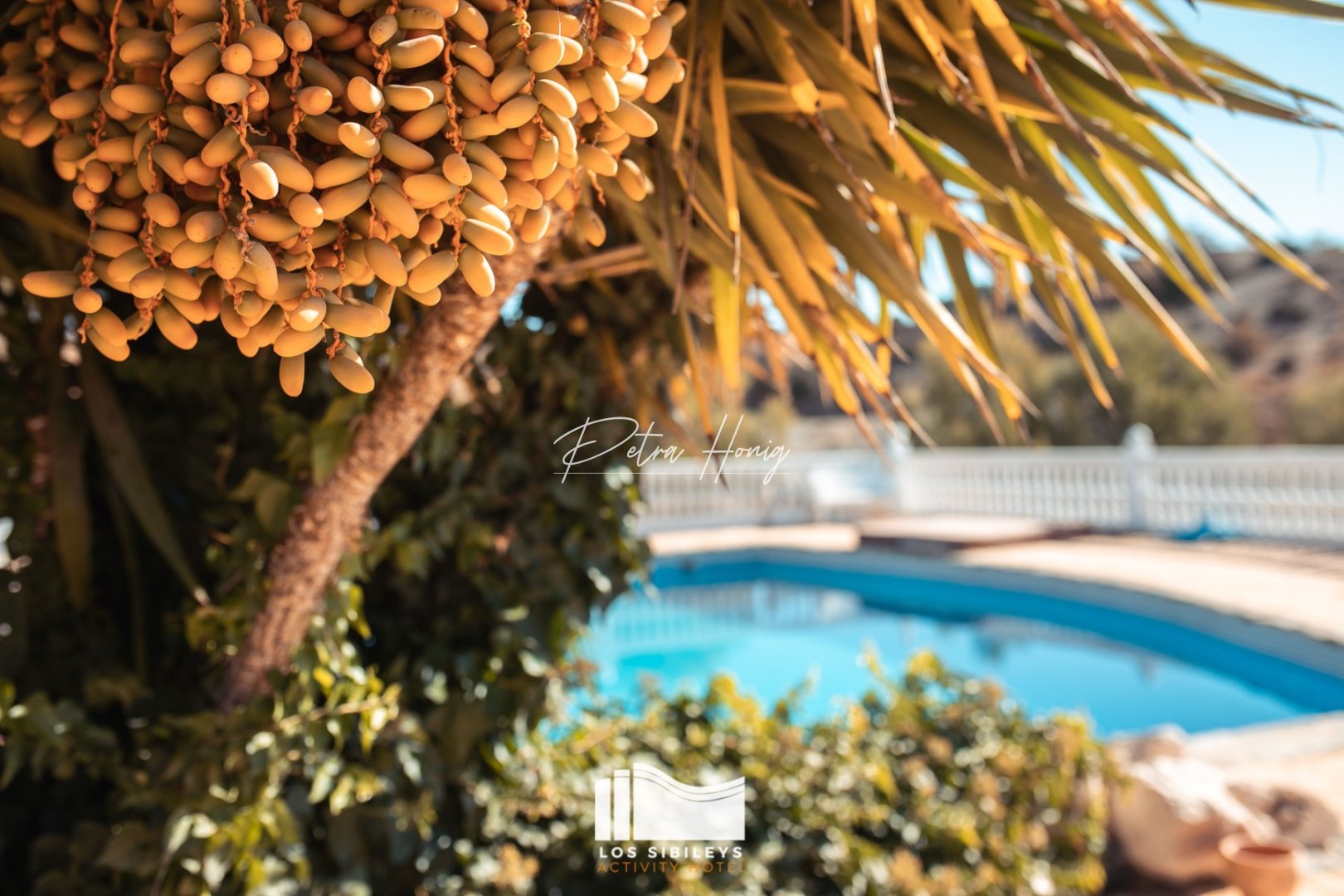 Resales - Rekkehus - Other areas - Lorca