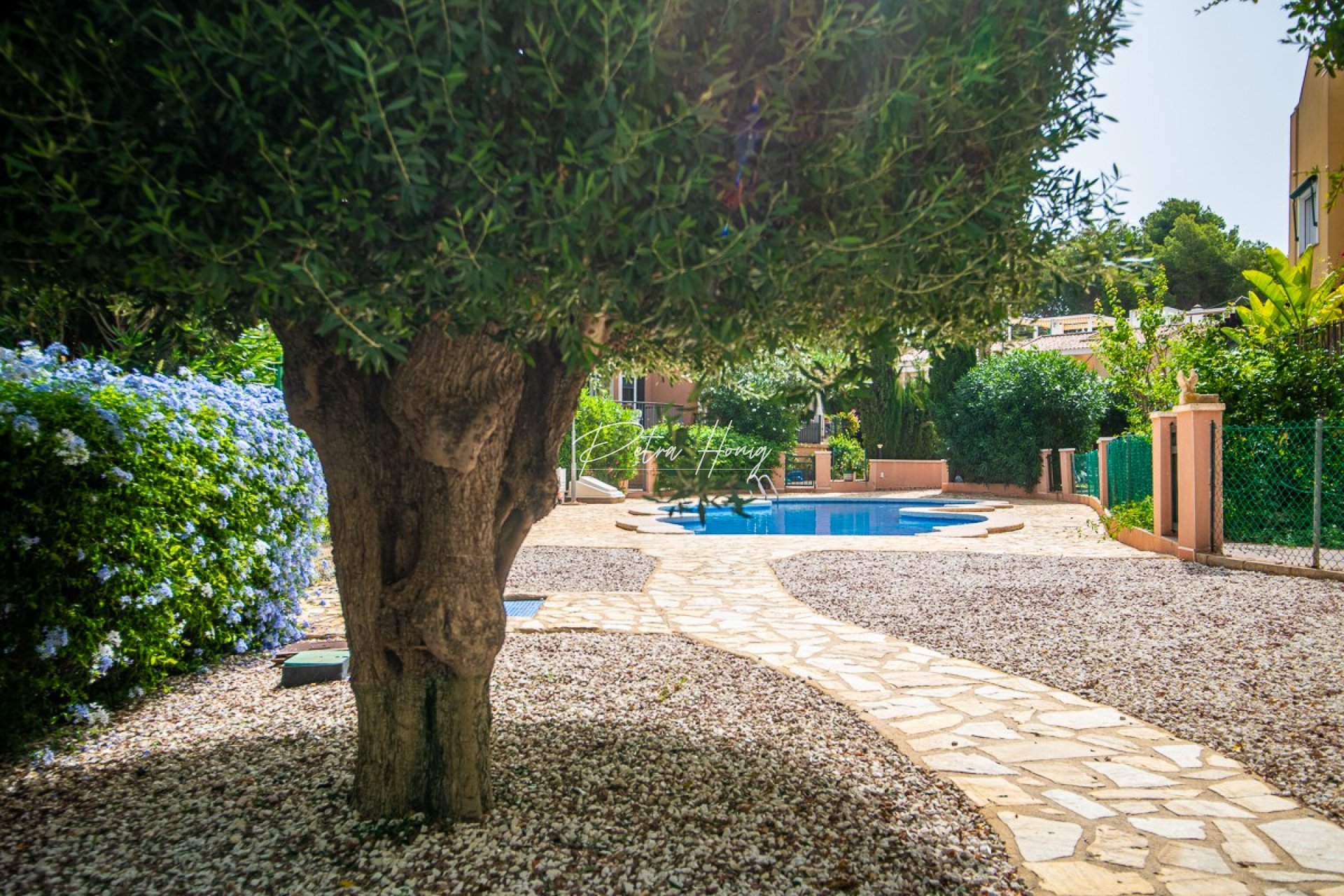 Resales - Rekkehus - Torrevieja - LOS BALCONES - LOS ALTOS