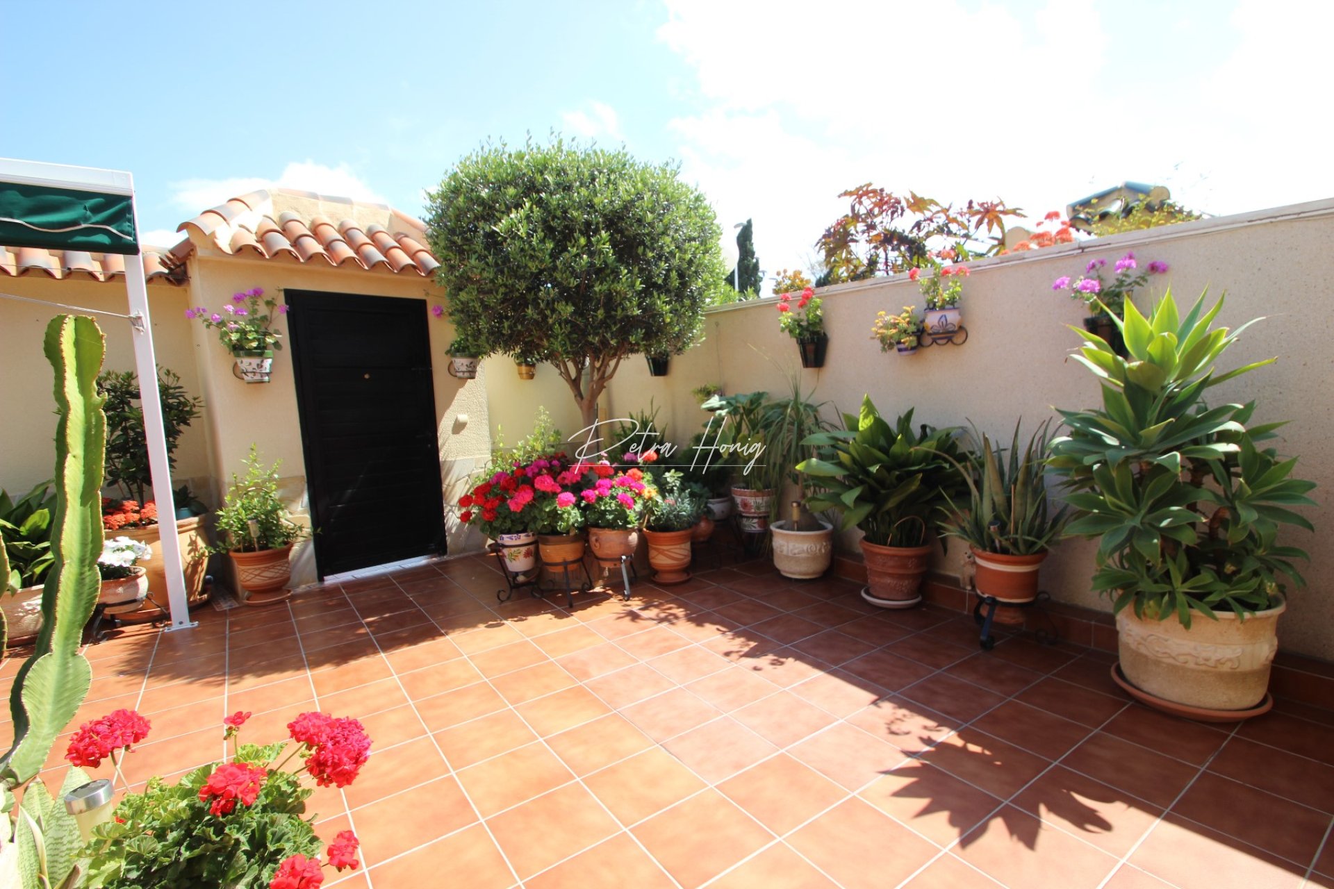 Resales - Rekkehus - Torrevieja