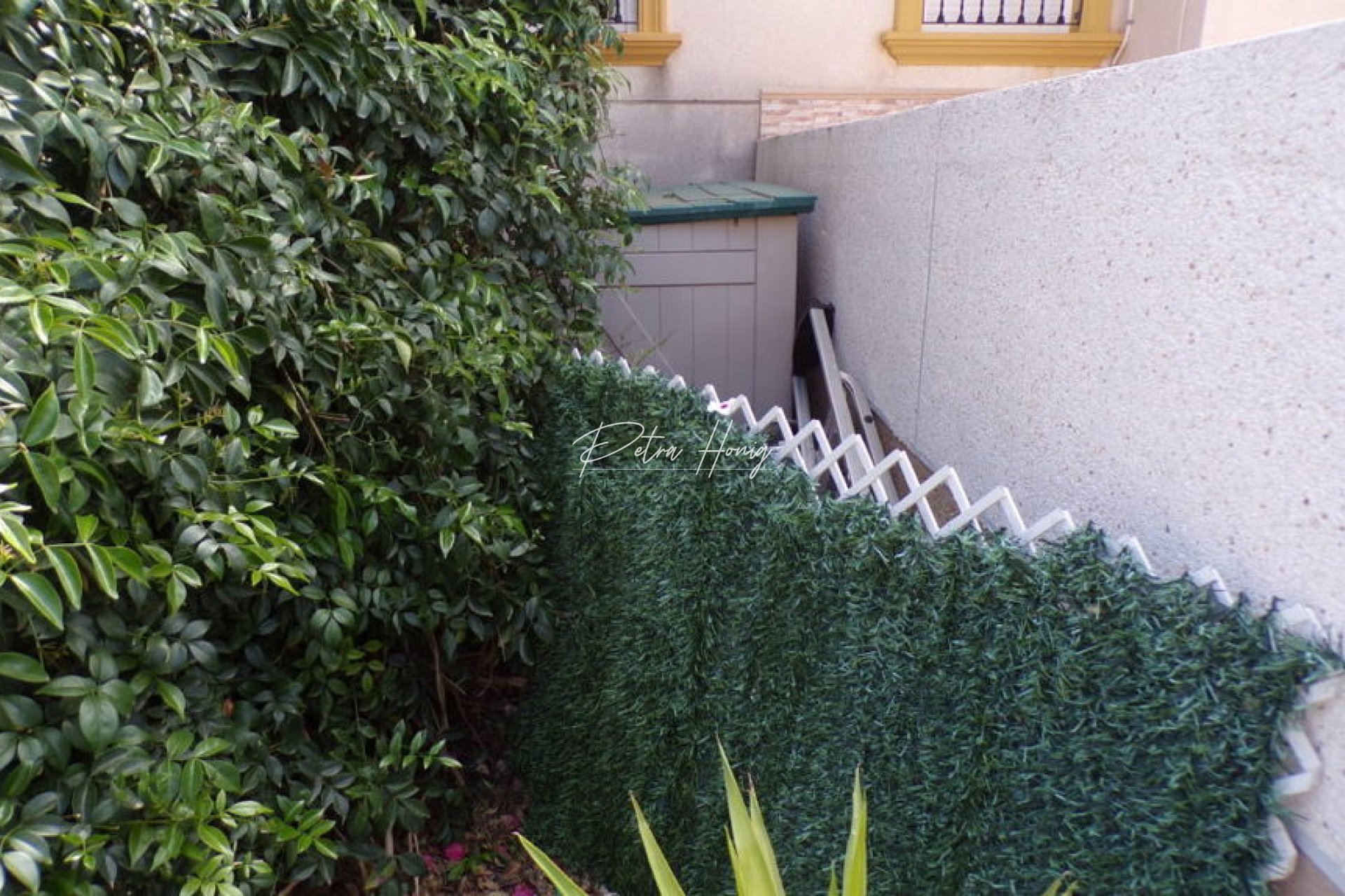 Resales - Semi Detached - Cabo Roig
