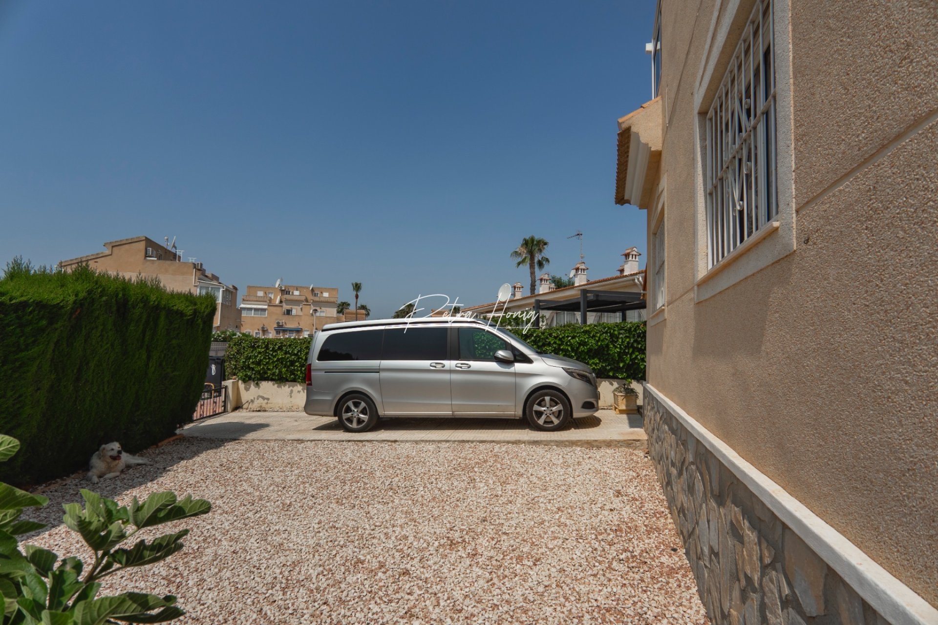 Resales - Semi Detached - Ciudad Quesada - Dona Pepa