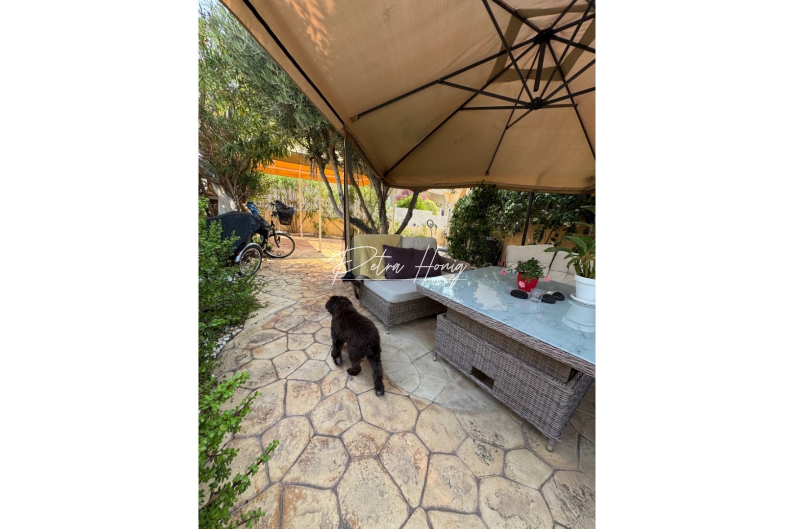 Resales - Semi Detached - Ciudad Quesada - Dona Pepa