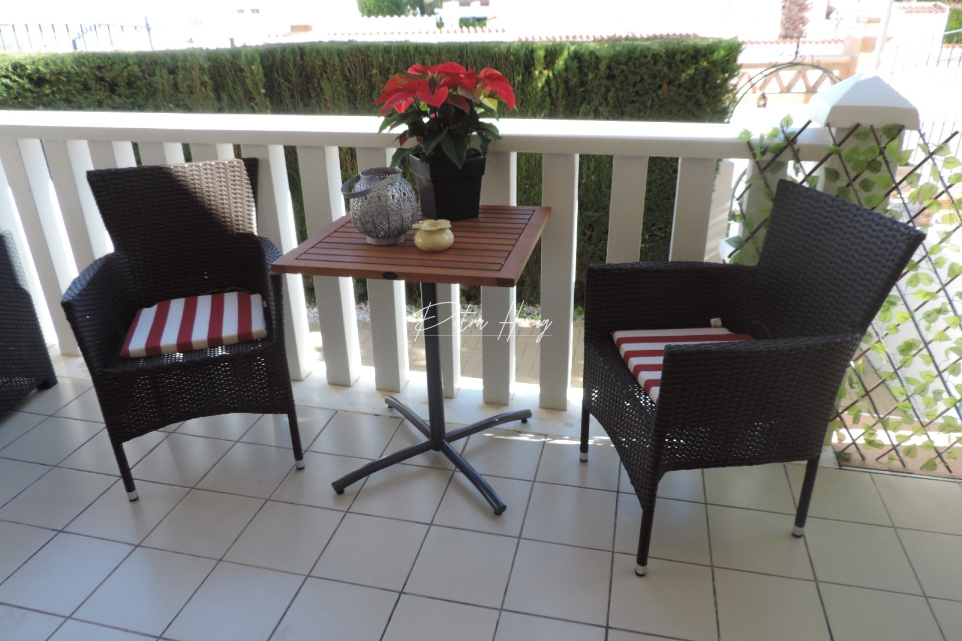 Resales - Semi Detached - Ciudad Quesada - Dona Pepa
