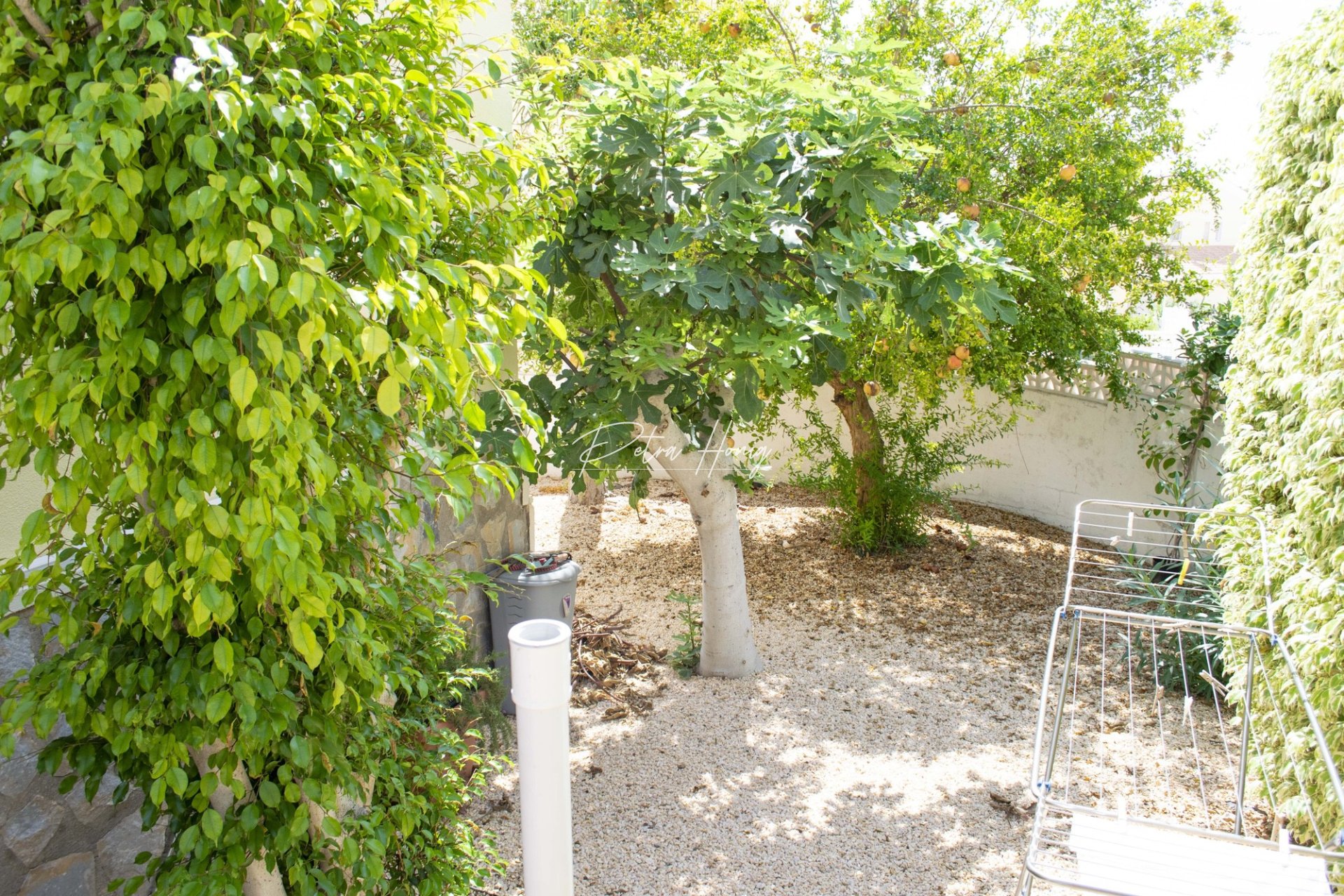 Resales - Semi Detached - Ciudad Quesada - La Fiesta