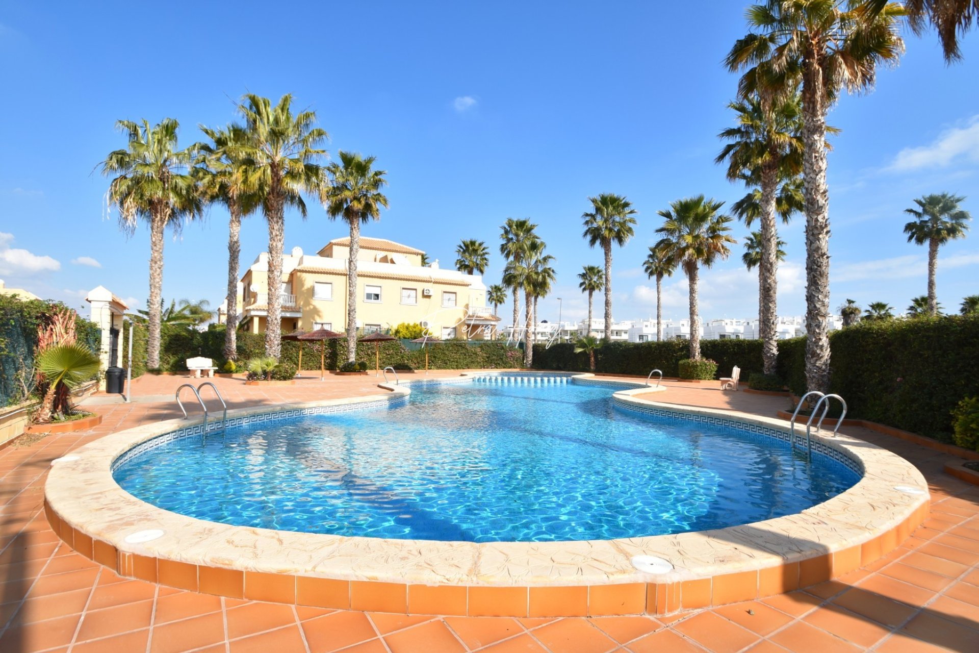 Resales - Semi Detached - Ciudad Quesada - Lo Marabu