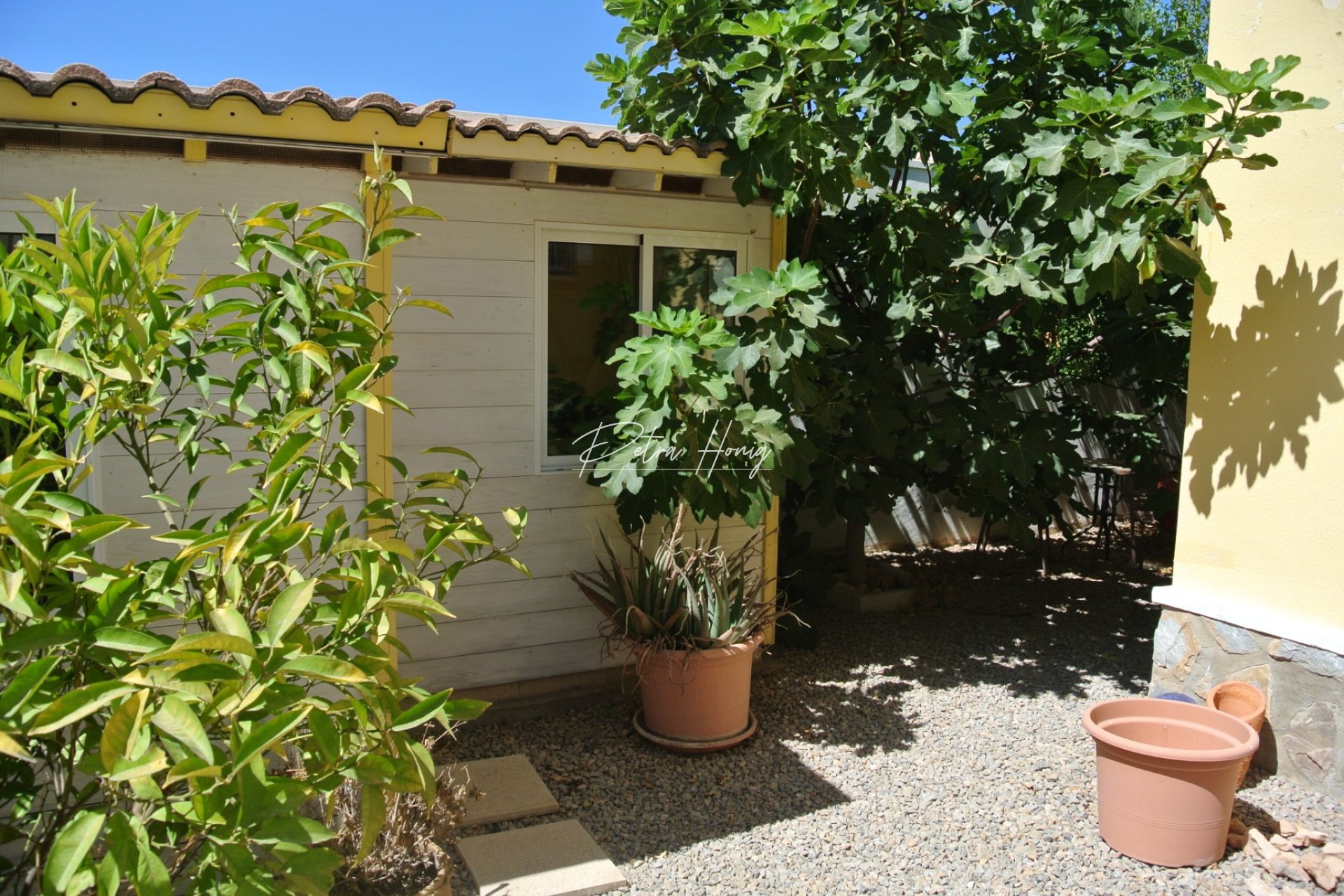 Resales - Semi Detached - Ciudad Quesada - Pueblo Bravo