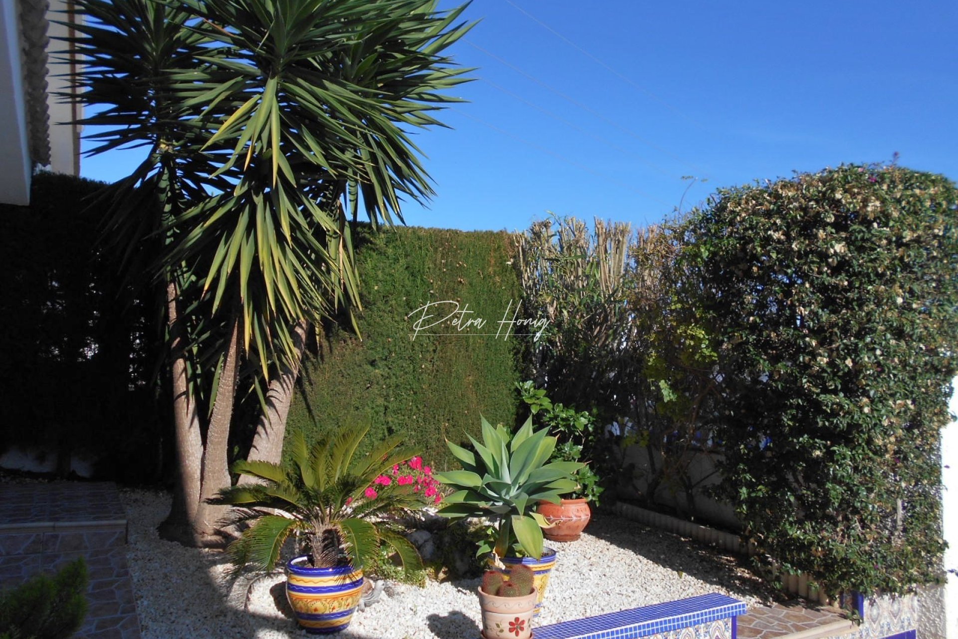 Resales - Semi Detached - Ciudad Quesada
