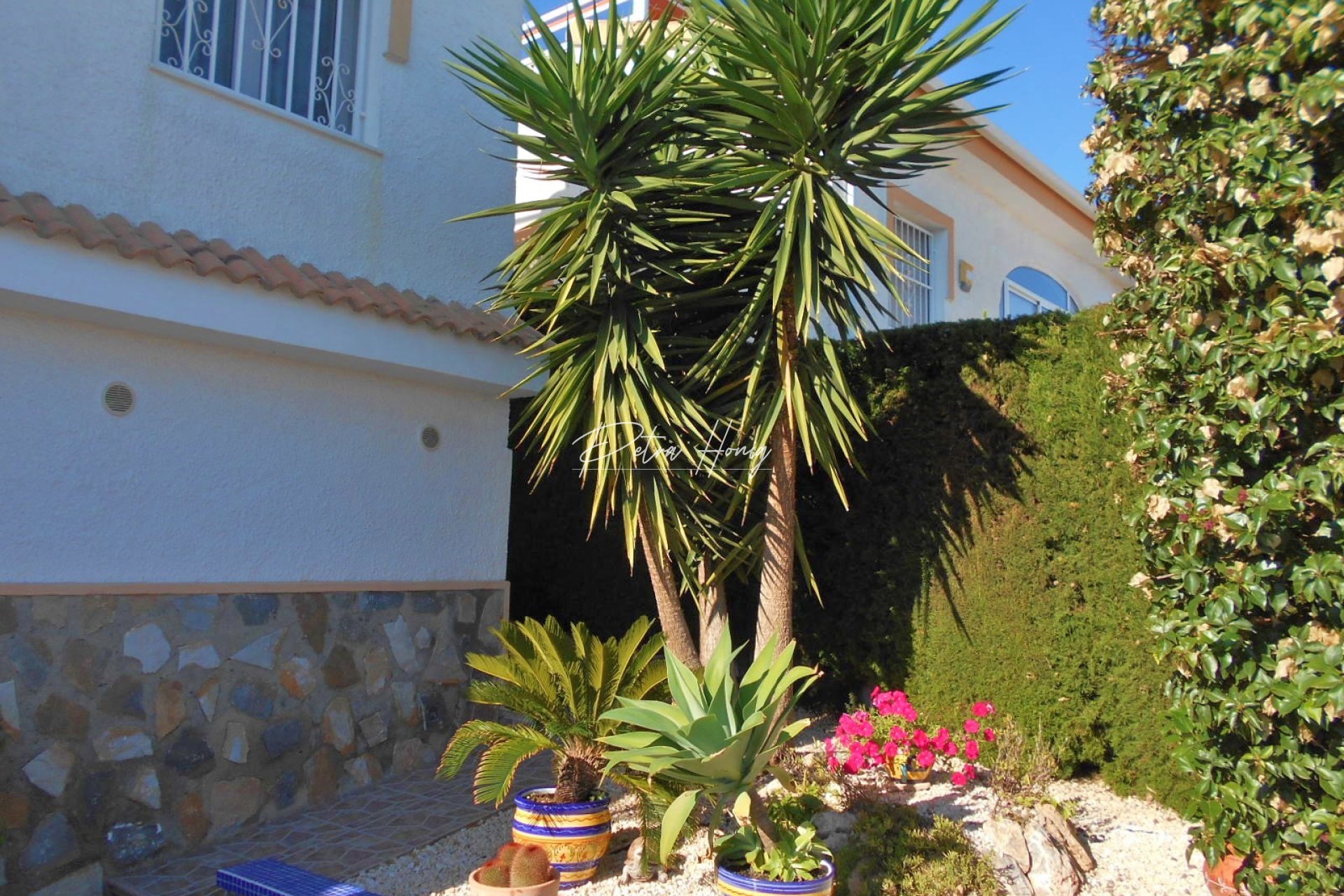 Resales - Semi Detached - Ciudad Quesada