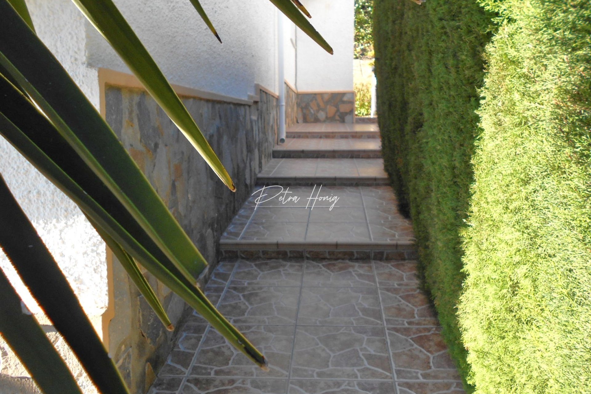 Resales - Semi Detached - Ciudad Quesada