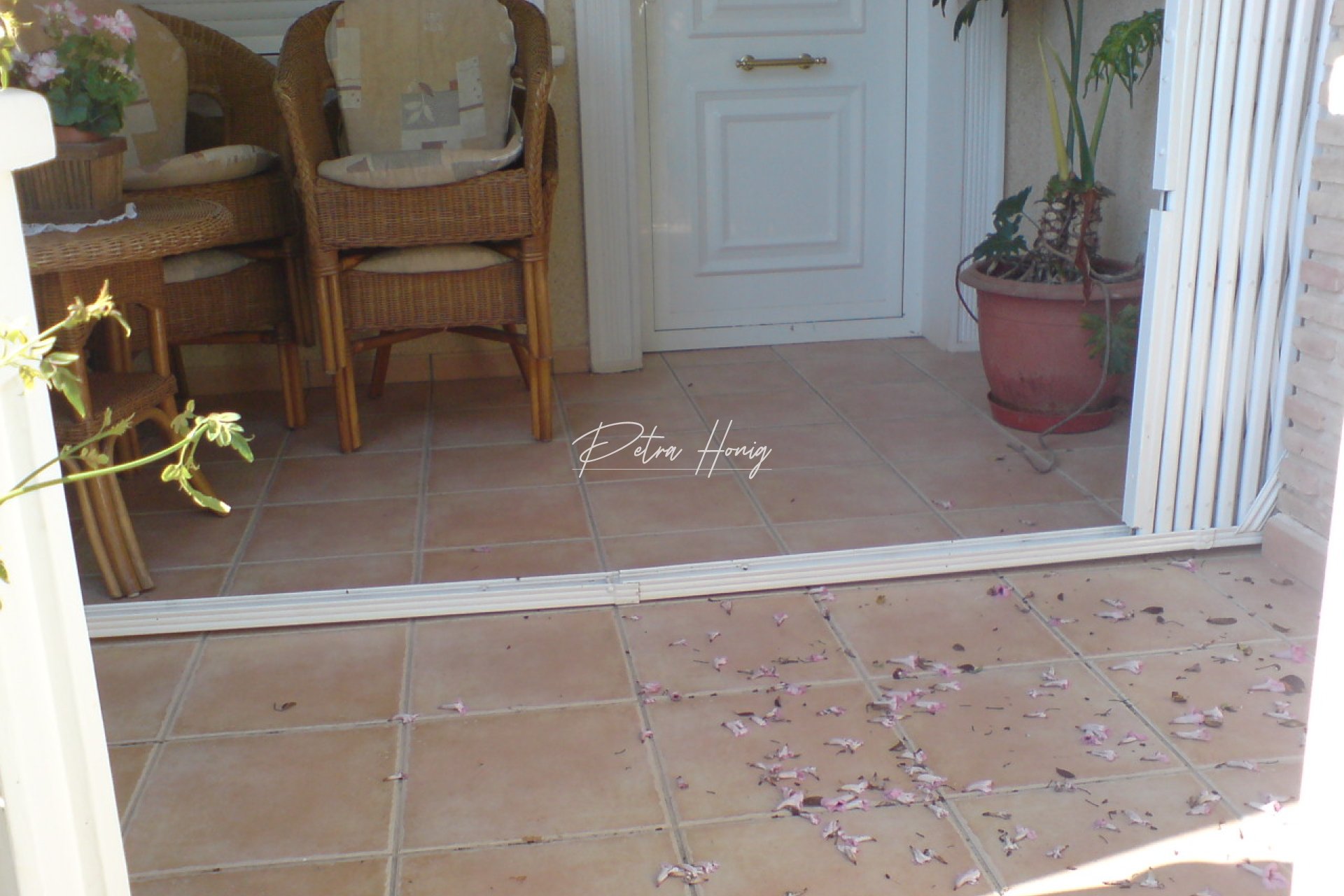 Resales - Semi Detached - Guardamar del Segura
