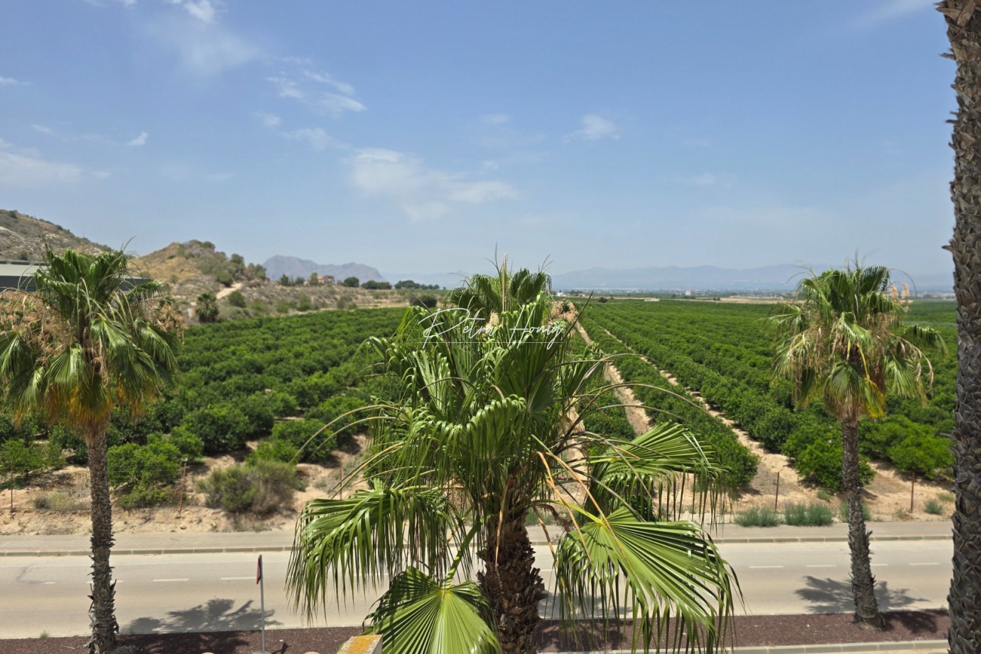 Resales - Semi Detached - La Finca Golf