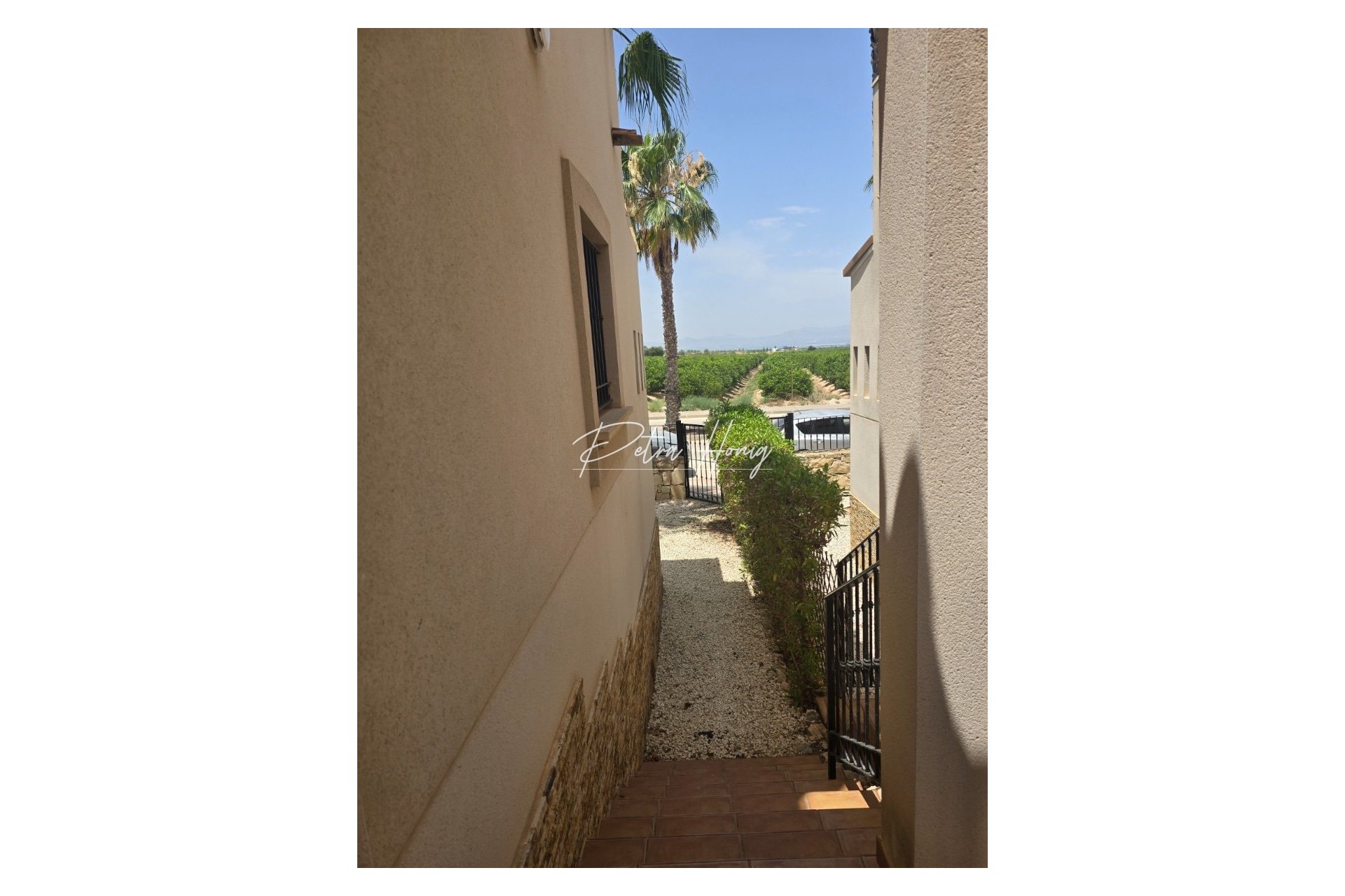 Resales - Semi Detached - La Finca Golf