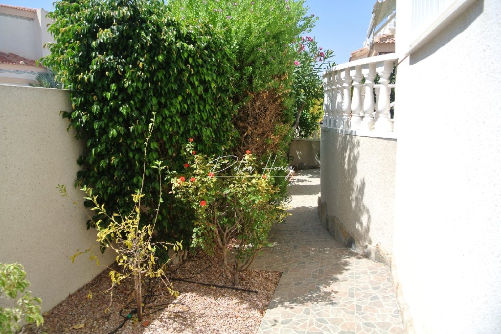 Resales - Tomannsbolig - Algorfa - La Finca Golf - Montemar