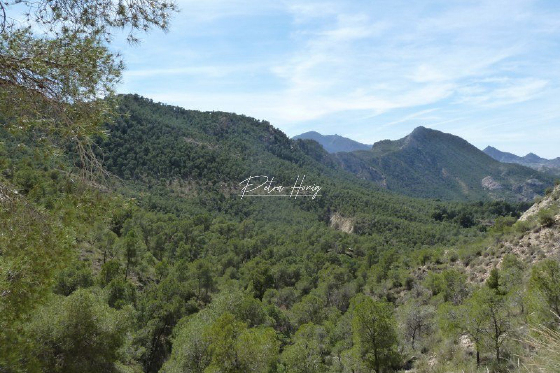 Resales - Tomannsbolig - Murcia