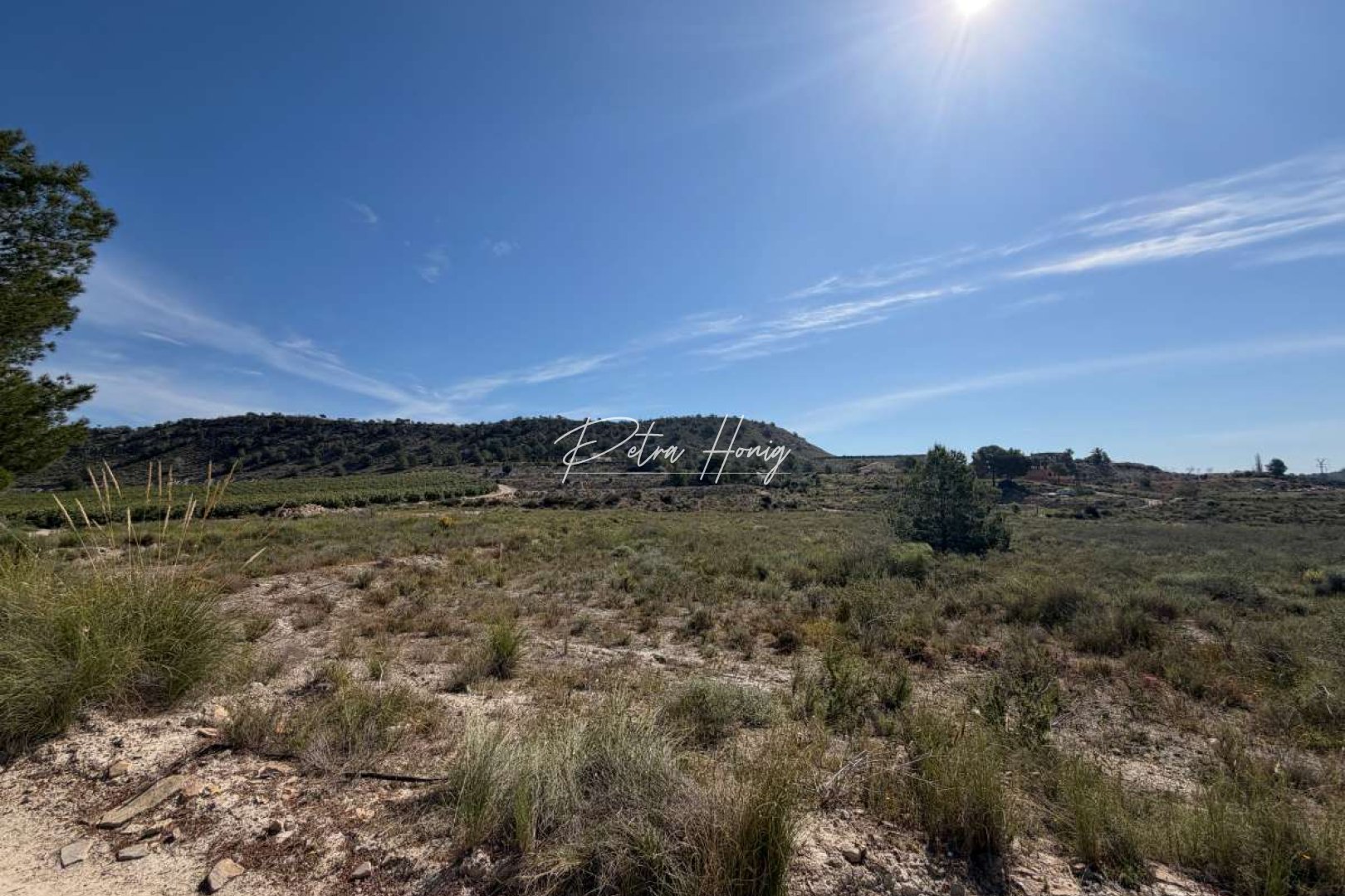 Resales - Tomt - San Miguel de Salinas - Torremendo