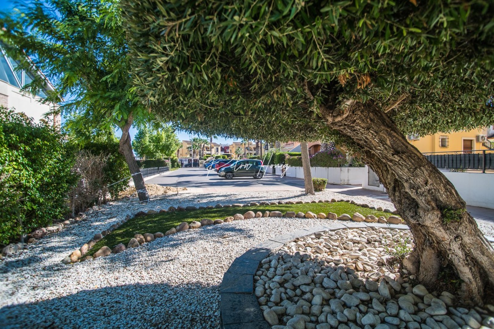 Resales - Townhouse - Algorfa - La Finca Golf - ALGORFA