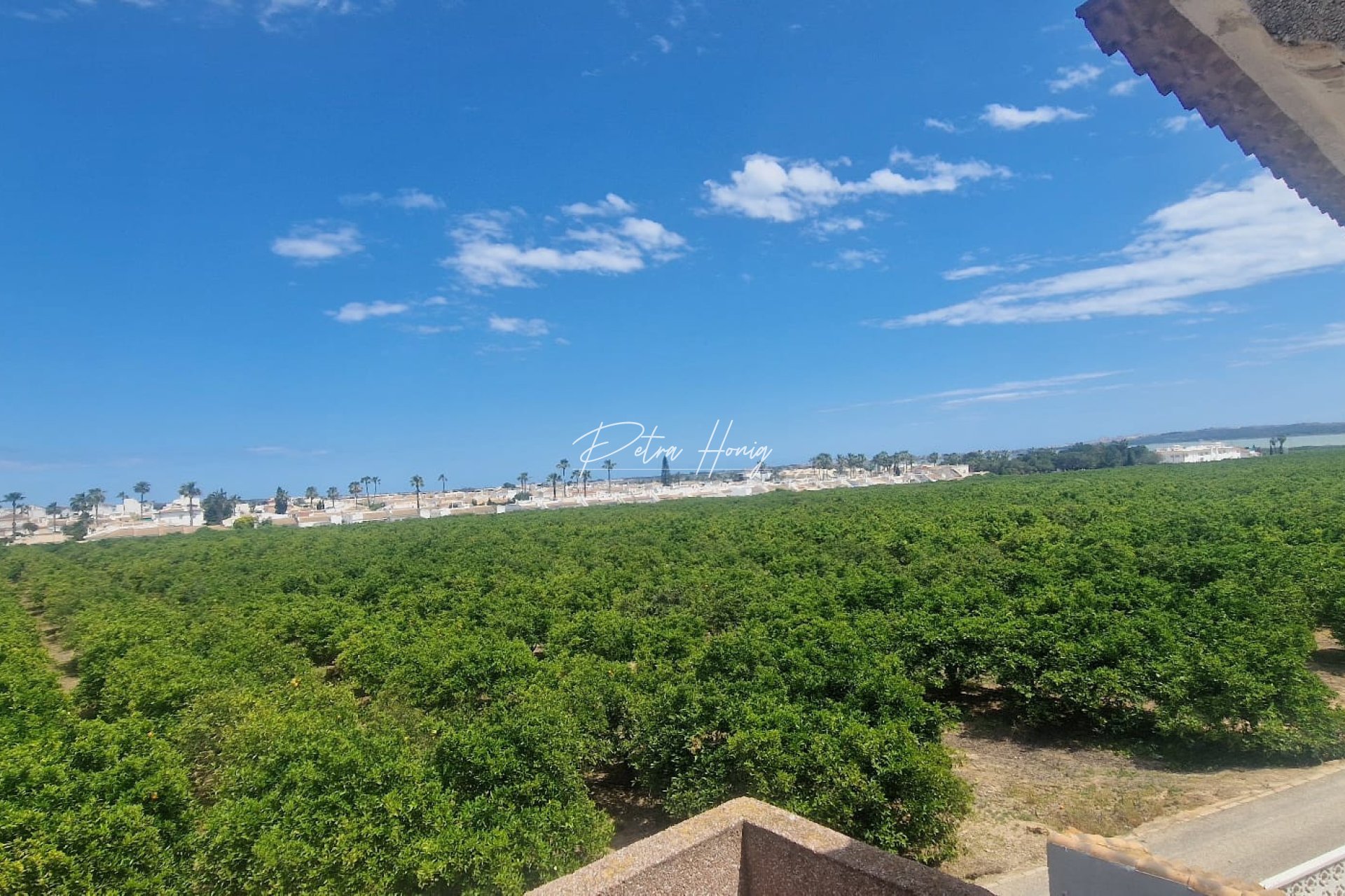 Resales - Townhouse - Ciudad Quesada - Dona Pepa
