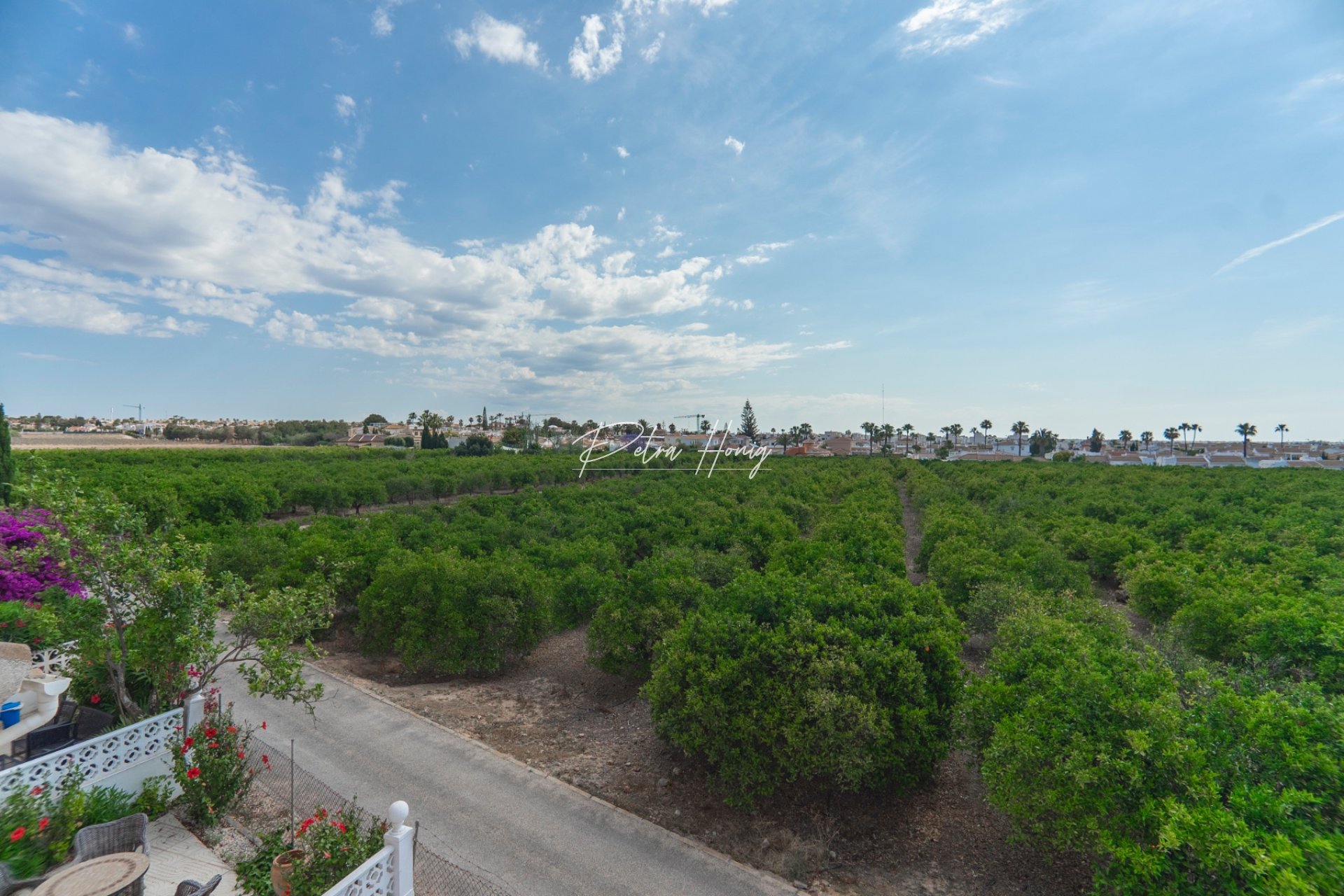 Resales - Townhouse - Ciudad Quesada - Dona Pepa